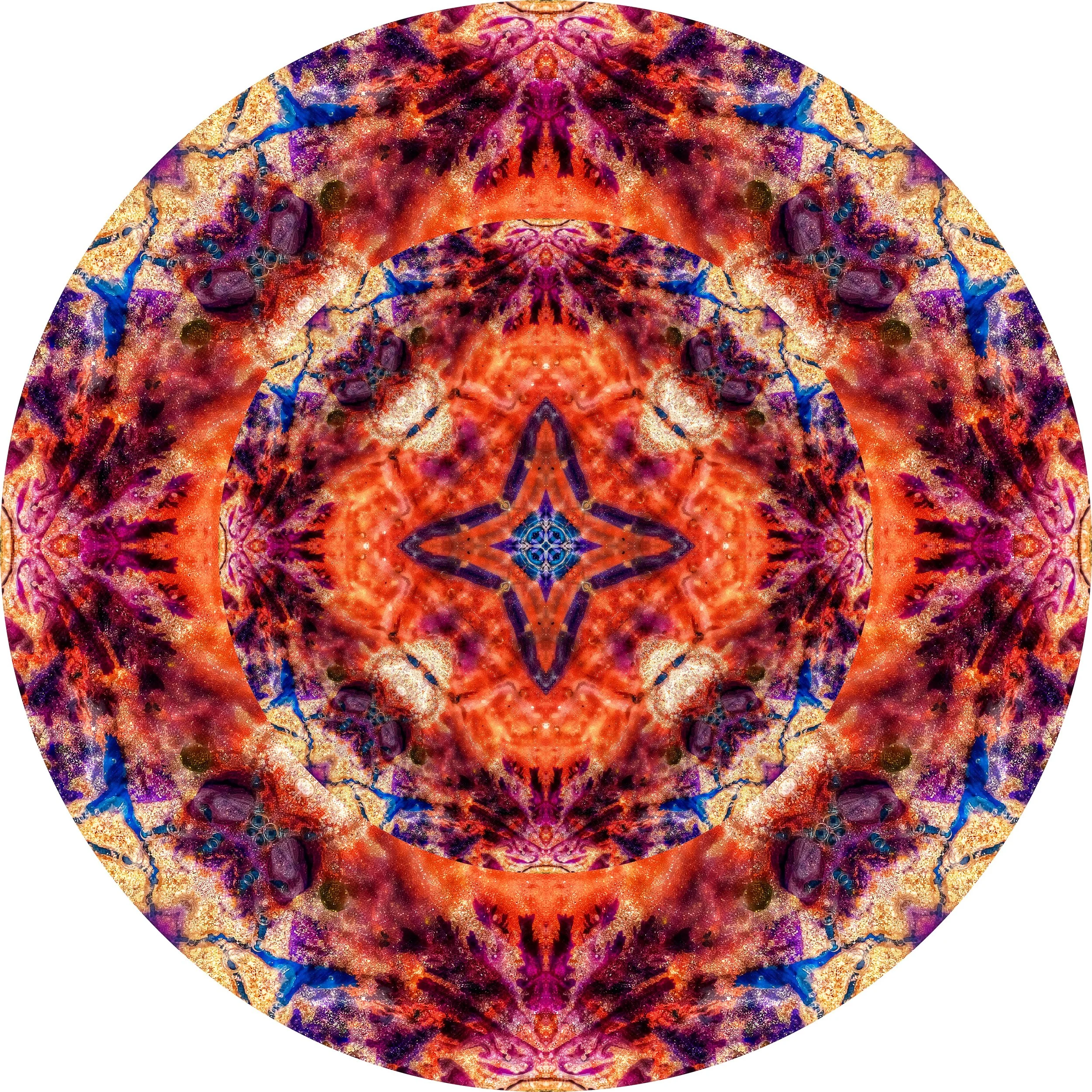 Octopus #A 4.JPG
