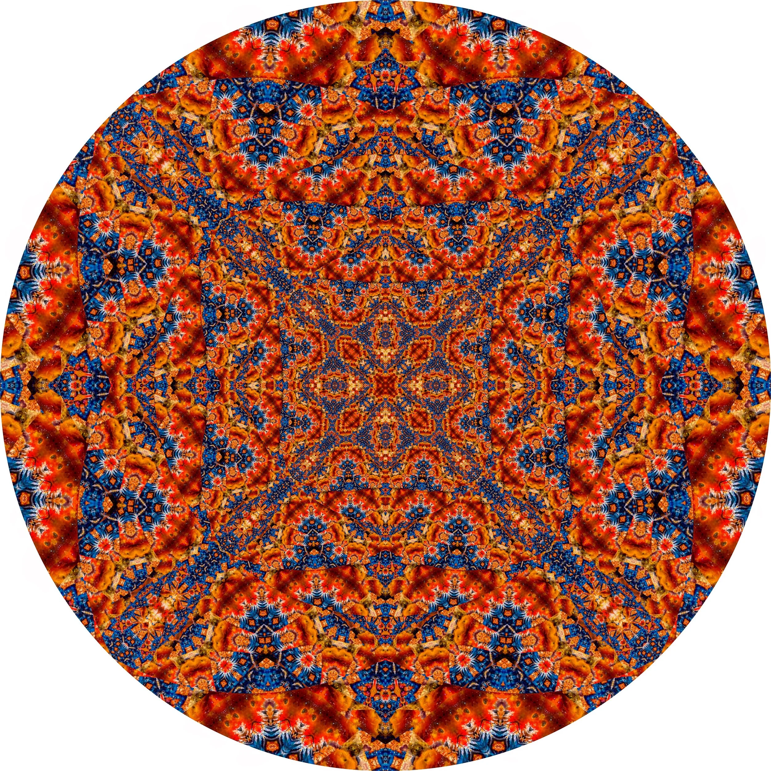 Octopus #A 12.JPG