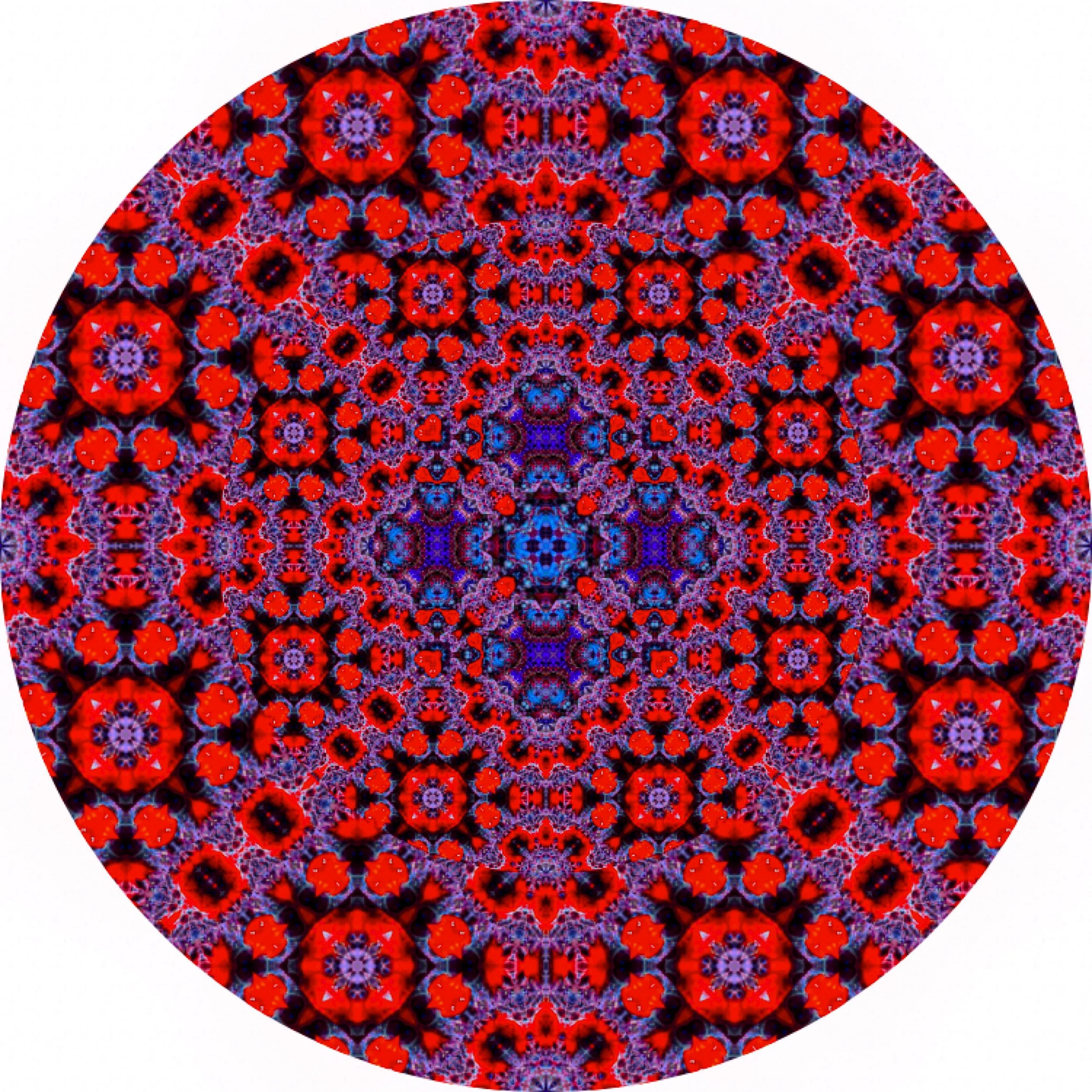 Parrot Fish #A 10.JPG