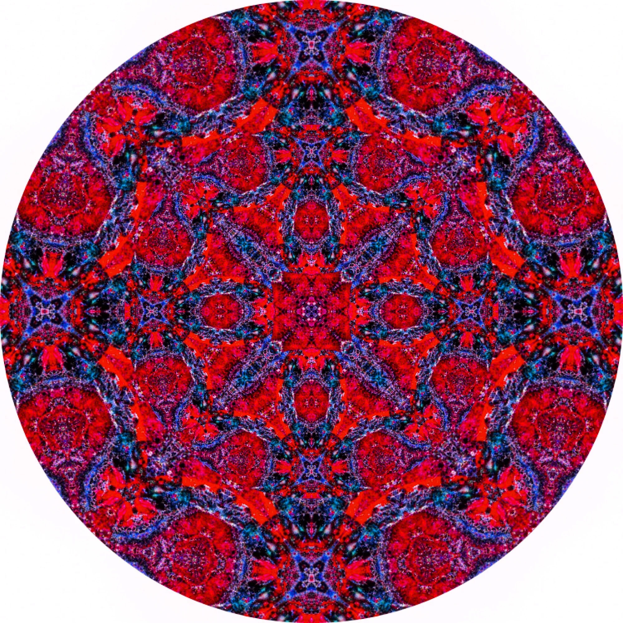 Parrot Fish #A 11.JPG