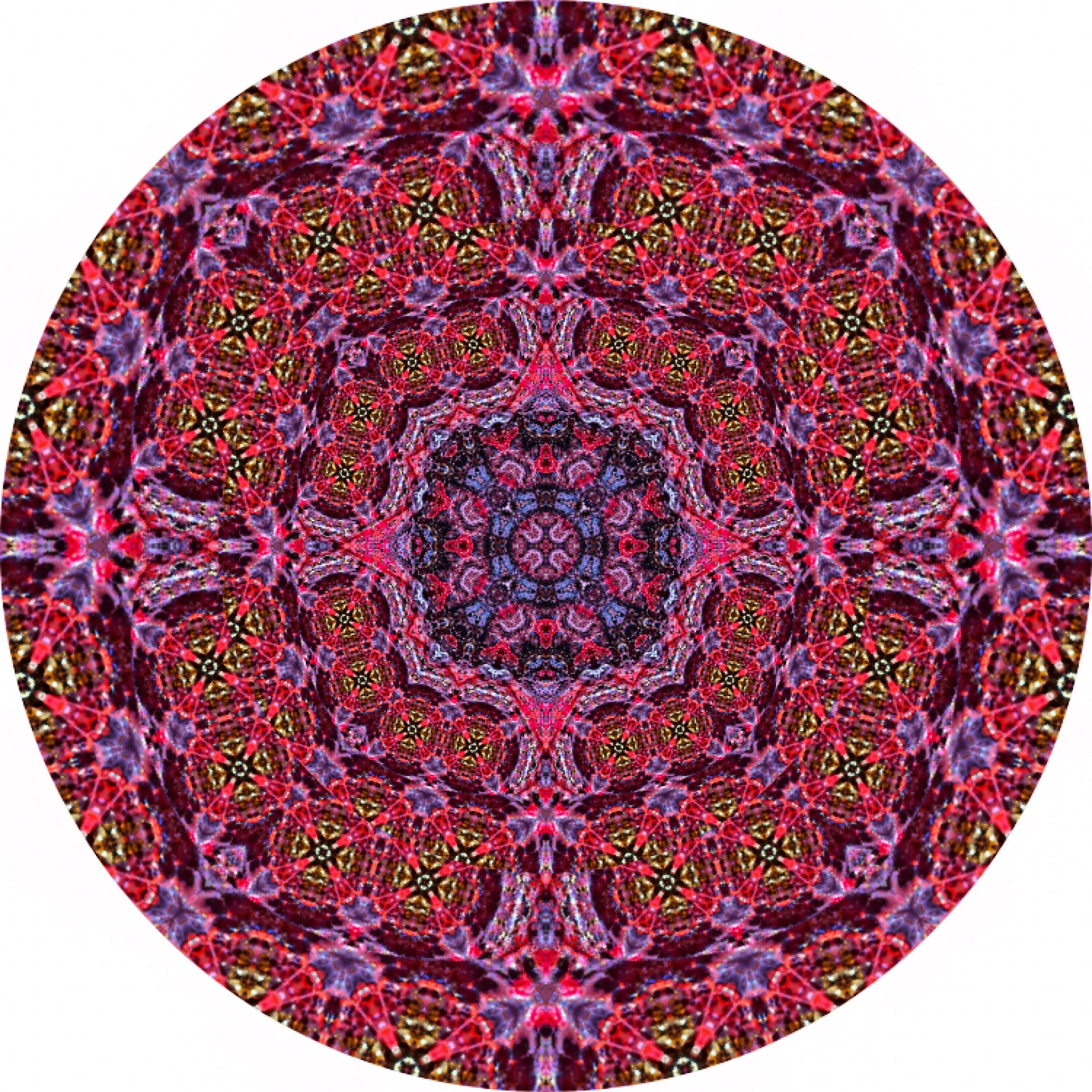 Parrot Fish #A 12.JPG