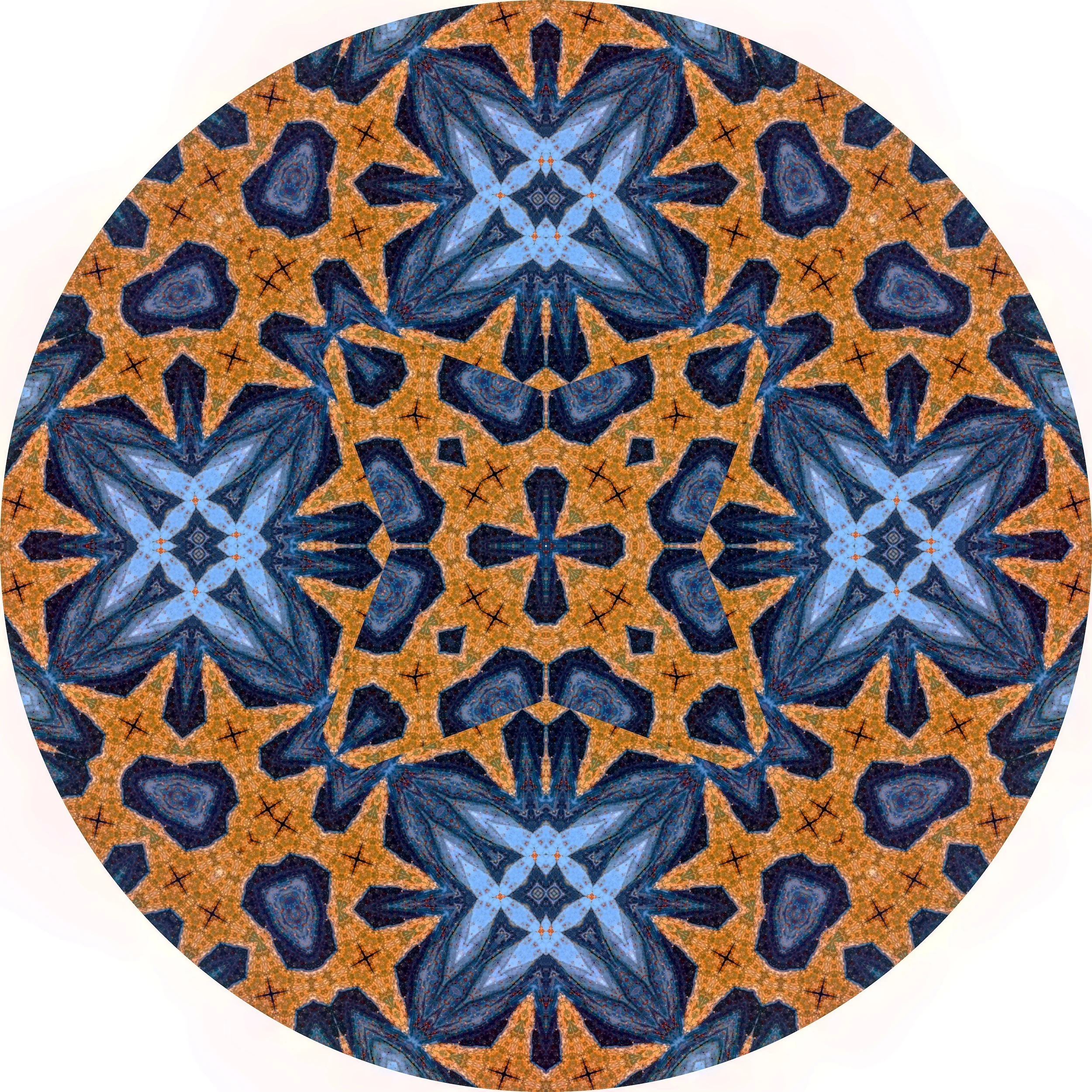 Seal on Sand #A 1.JPG