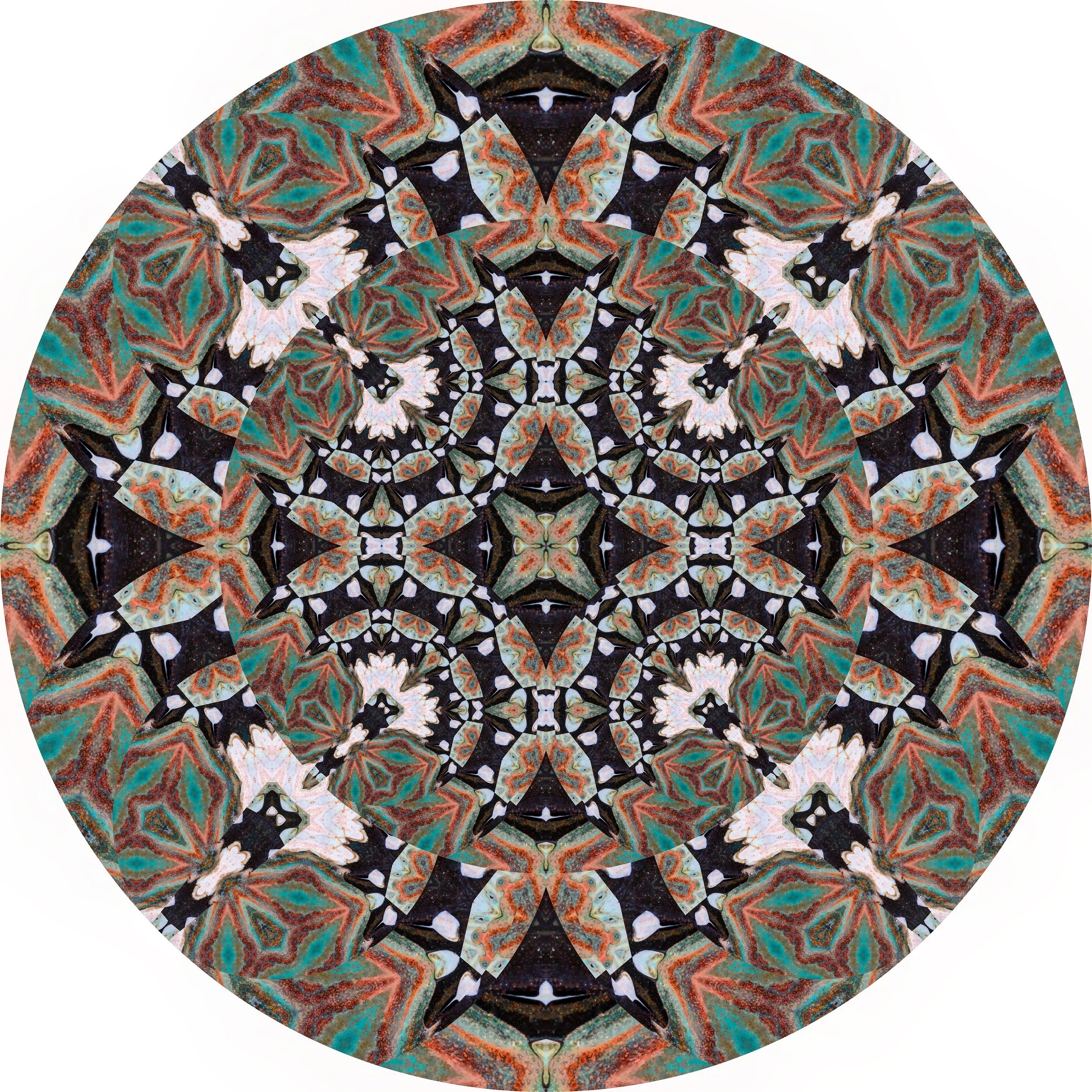 Seal on Sand #A 8.JPG