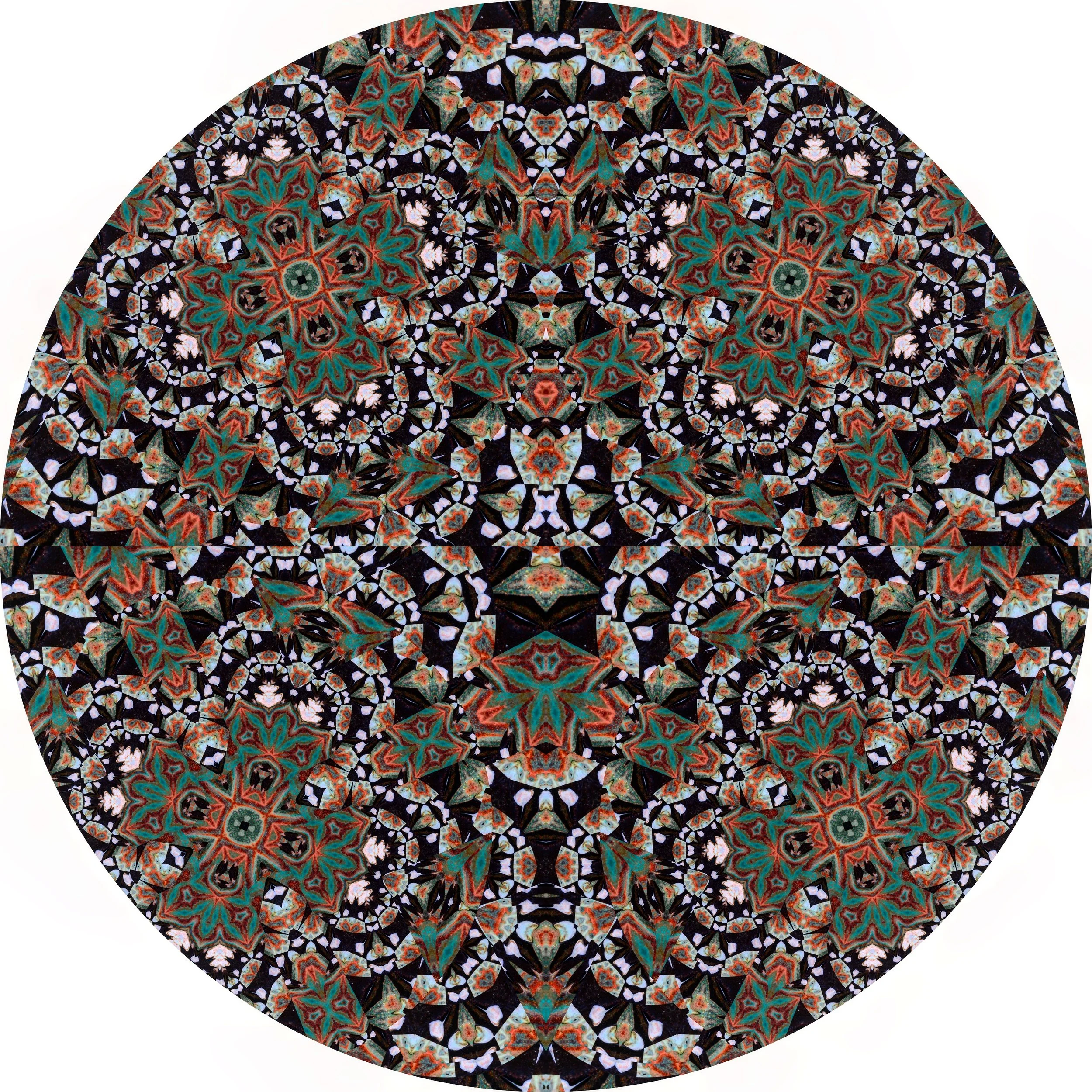 Seal on Sand #A 10.JPG