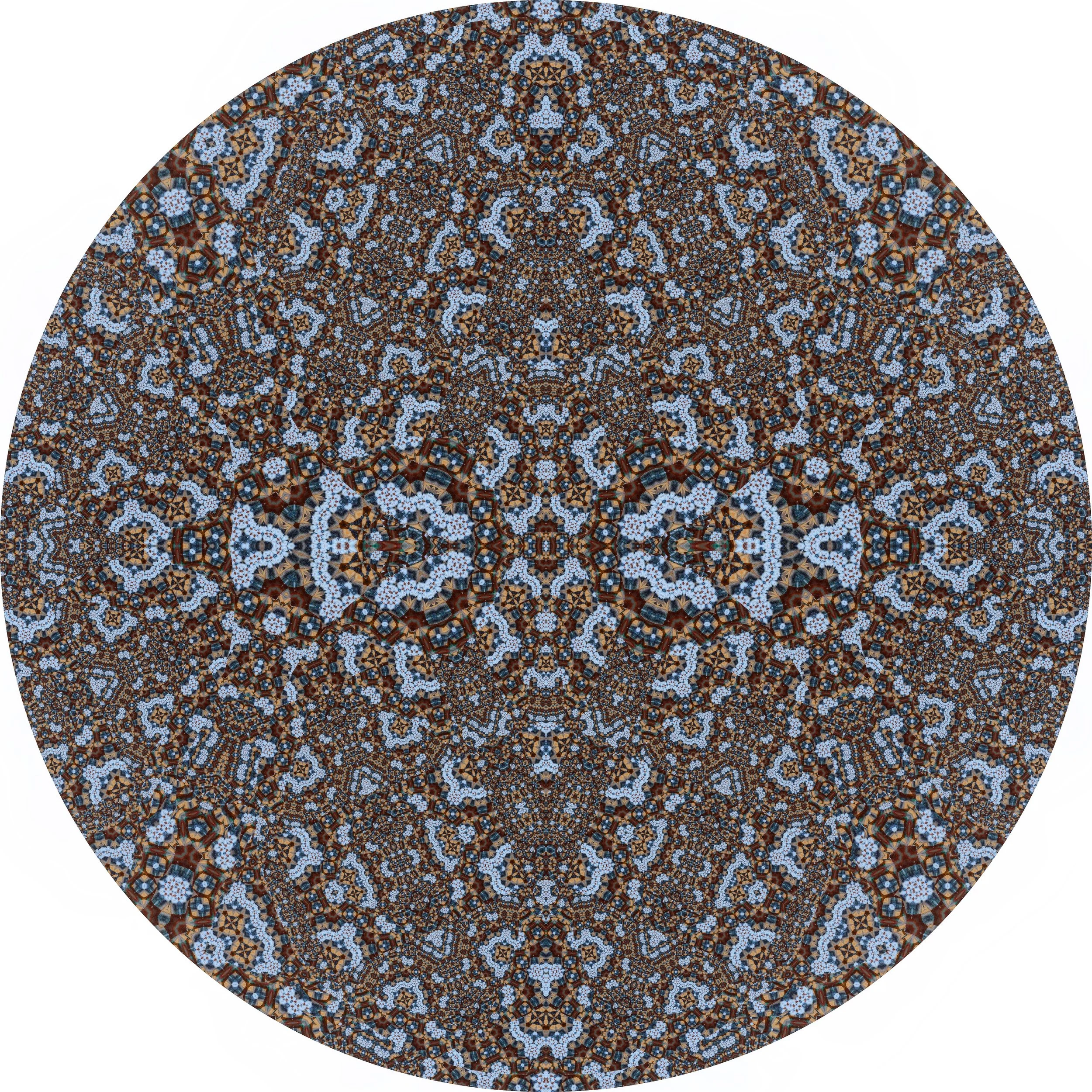 Seal on Sand #A 12.JPG