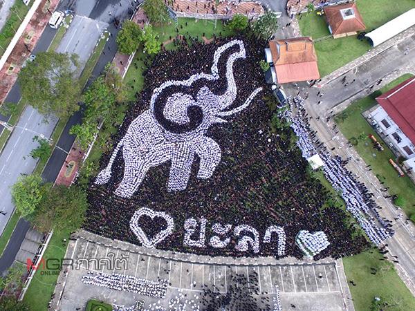 Royal Anthem in Yala