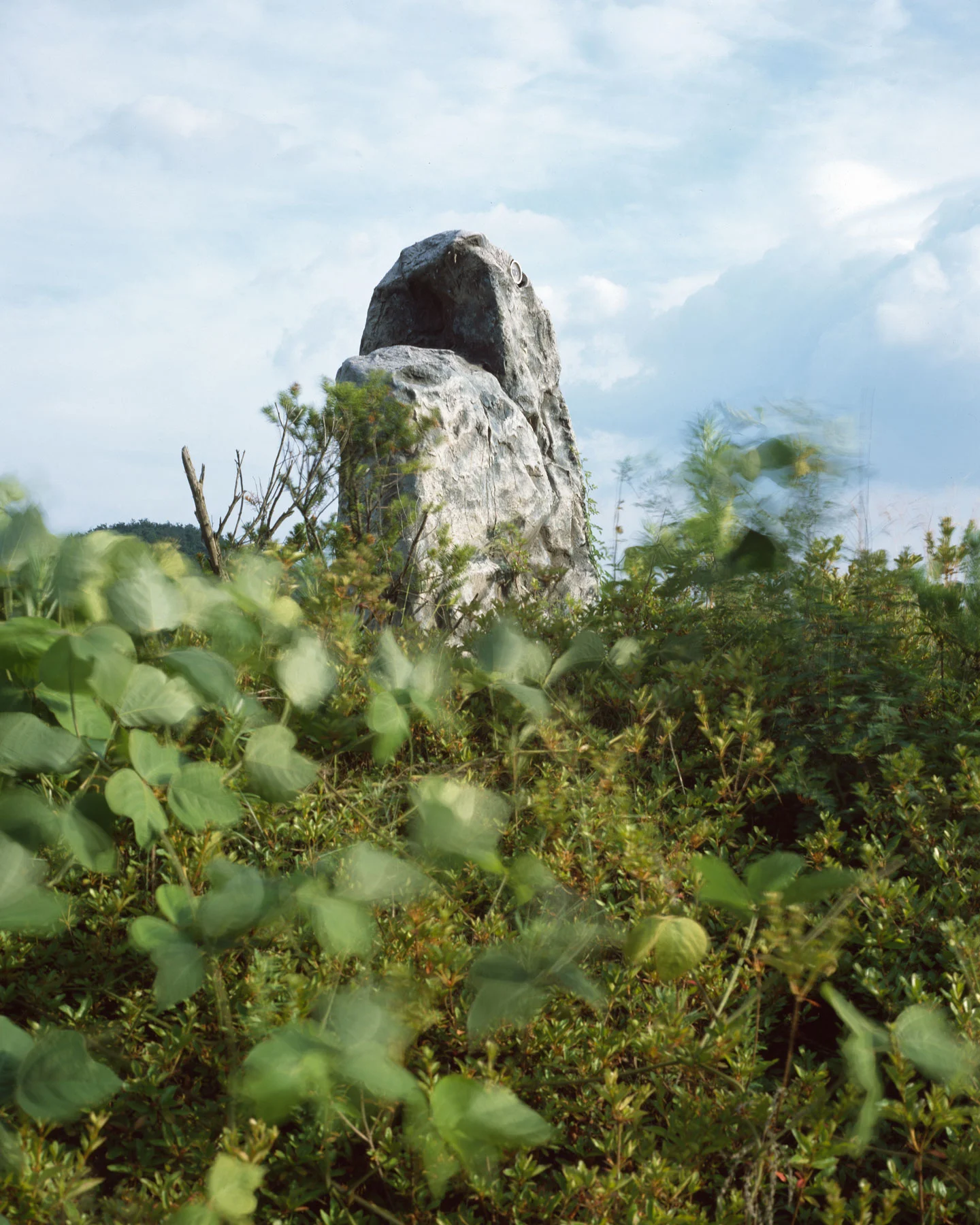 kijoon_Observer, #3.jpg