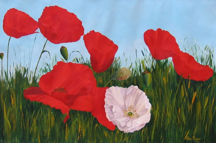 Cheryl's Poppies.jpg