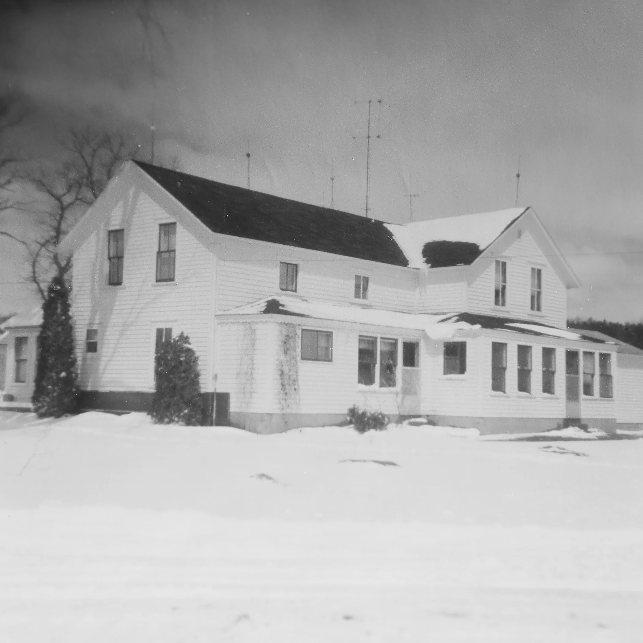 Lutz Family Farms Heritage Meats Grass Fed Beef in Central Wisconsin