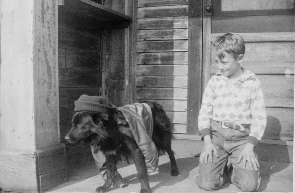 Lutz Family Farms Heritage Meats Grass Fed Beef & Pastured Pork