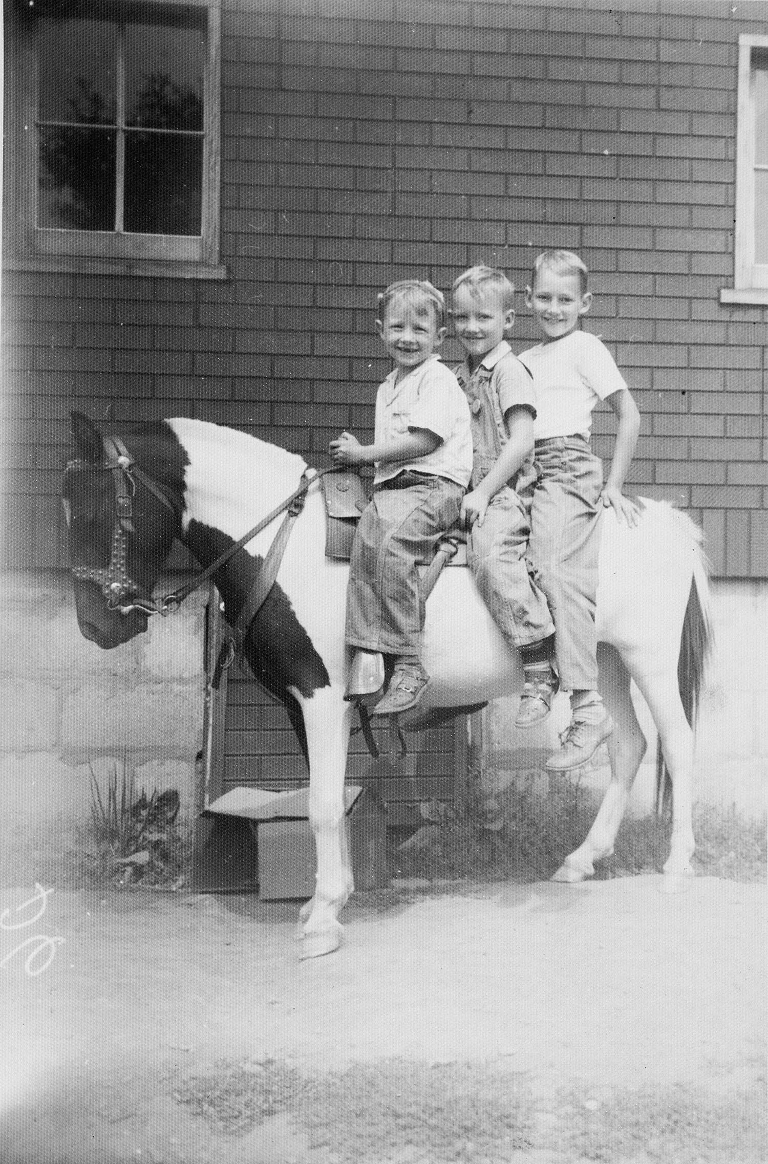 Lutz Family Farms Heritage Meats Grass Fed Beef & Pastured Pork