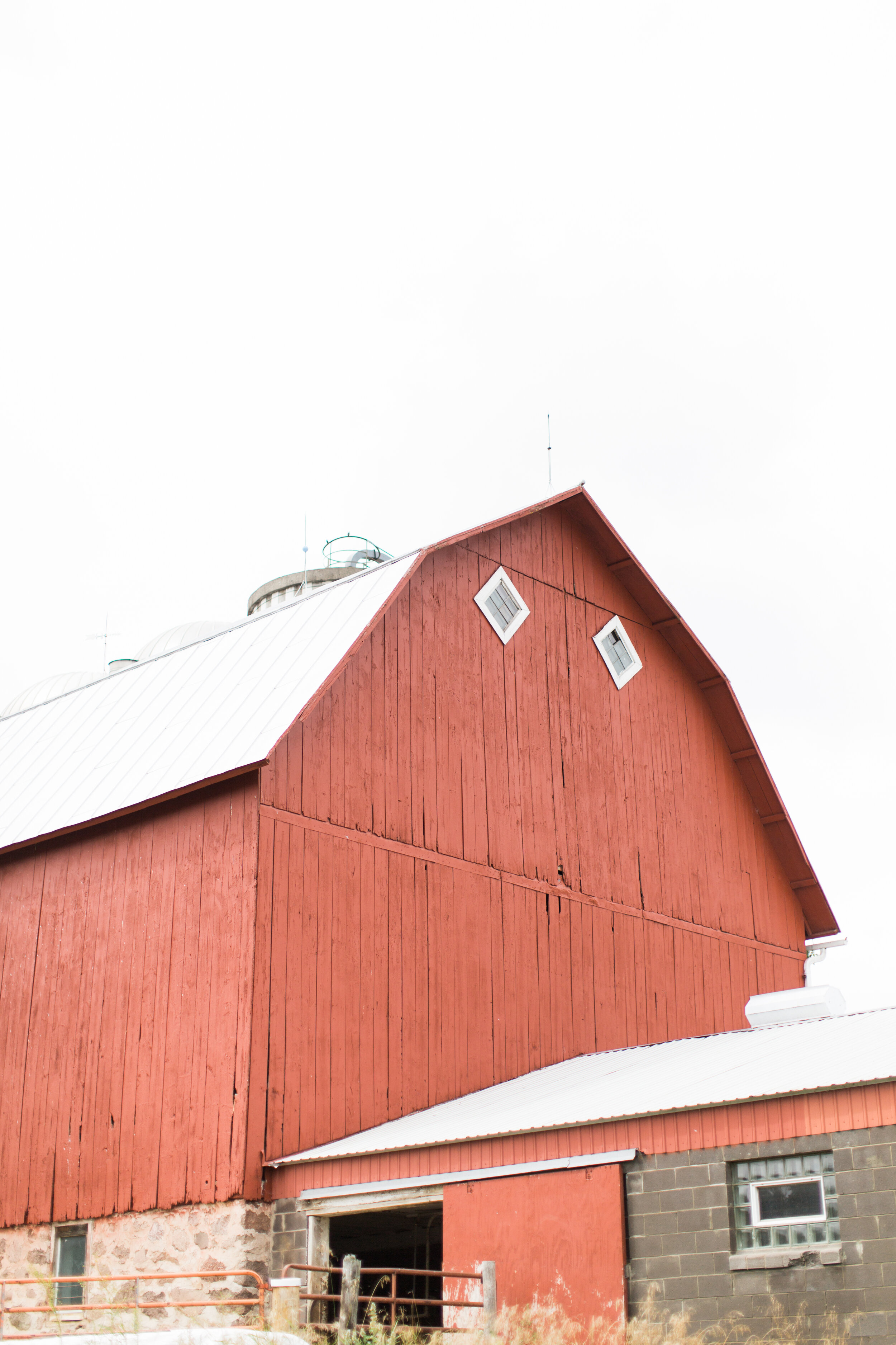 Lutz Family Farms Heritage Meats Grass Fed Beef & Pastured Pork
