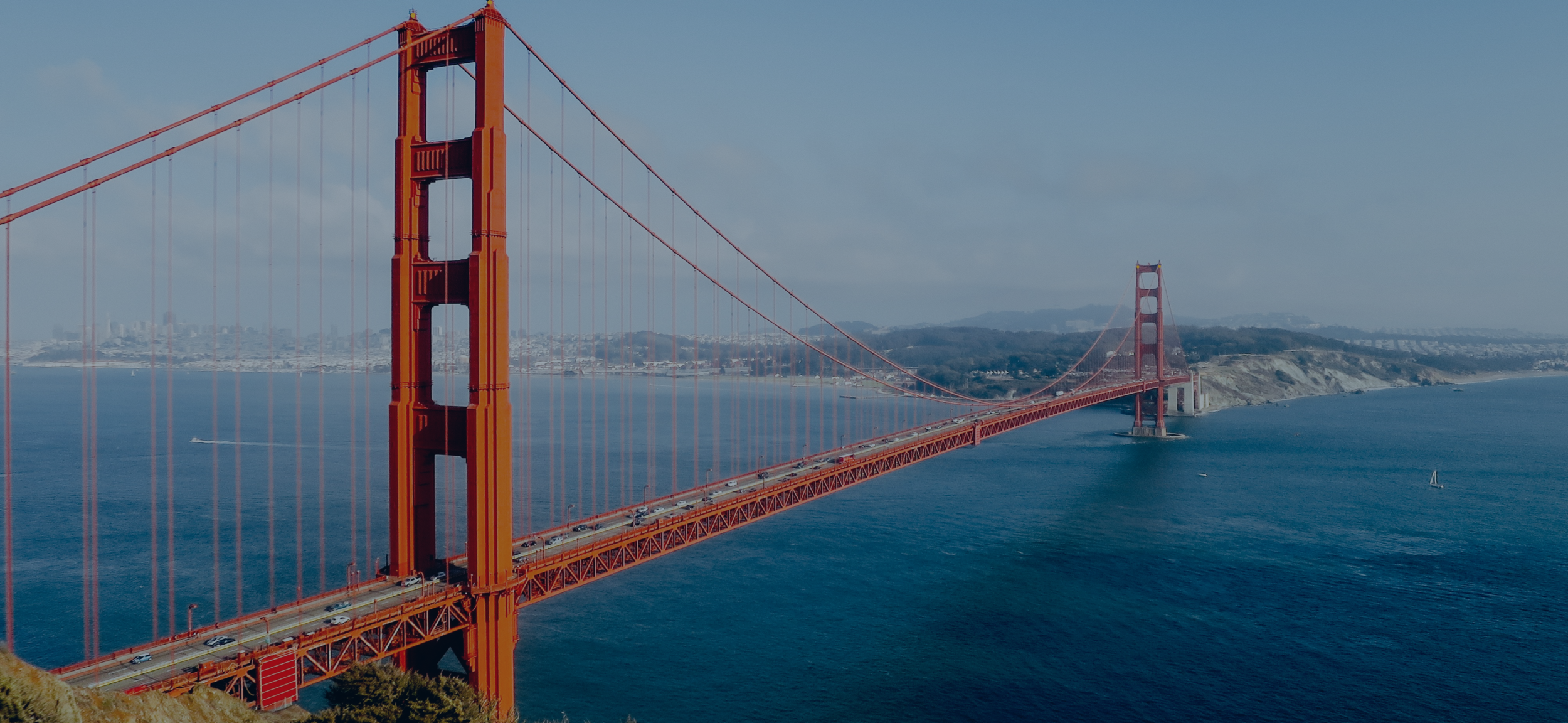 bridge - banner.png