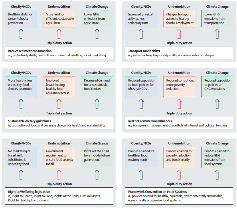Triple duty actions to address the “global syndemic”