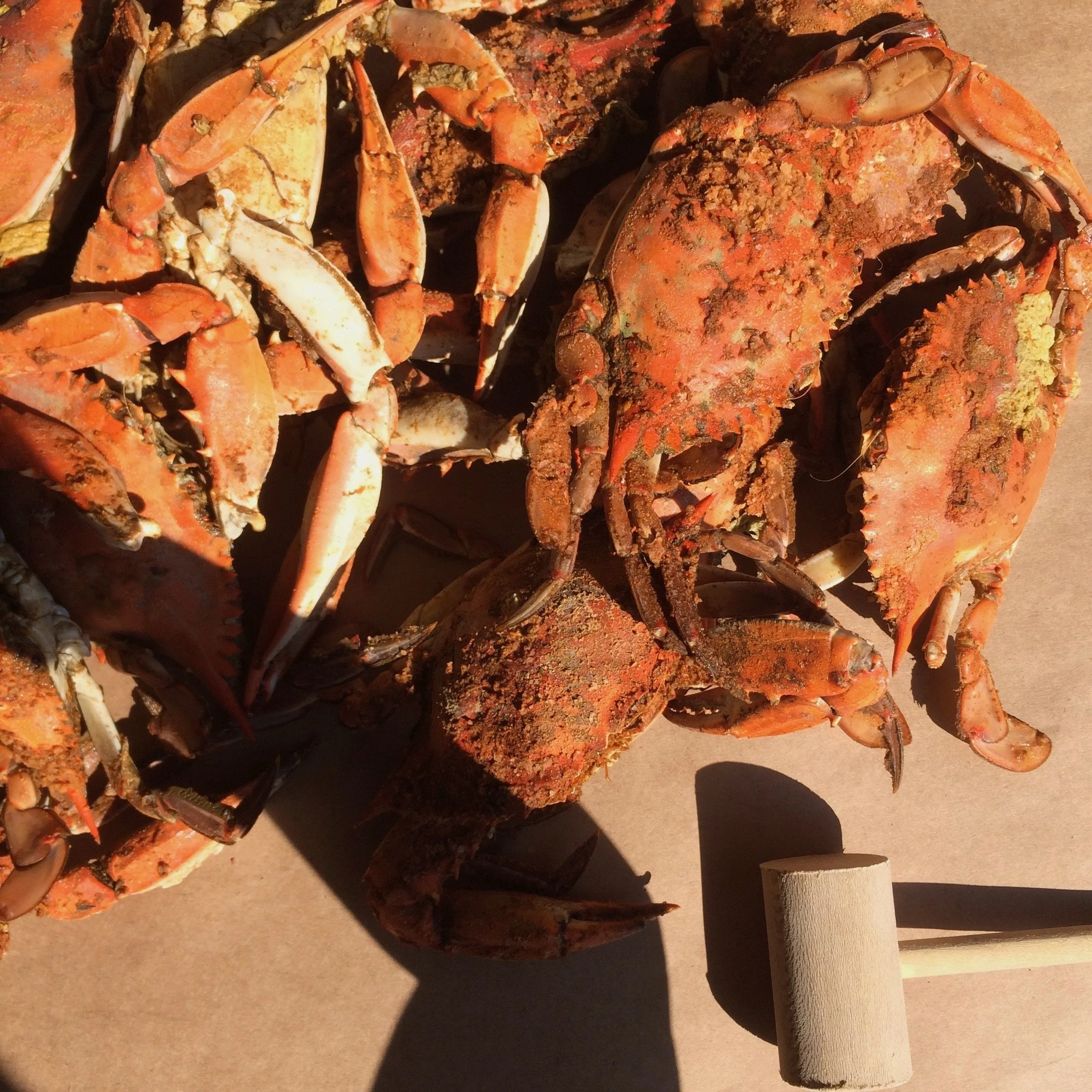 crab and hammer.jpeg