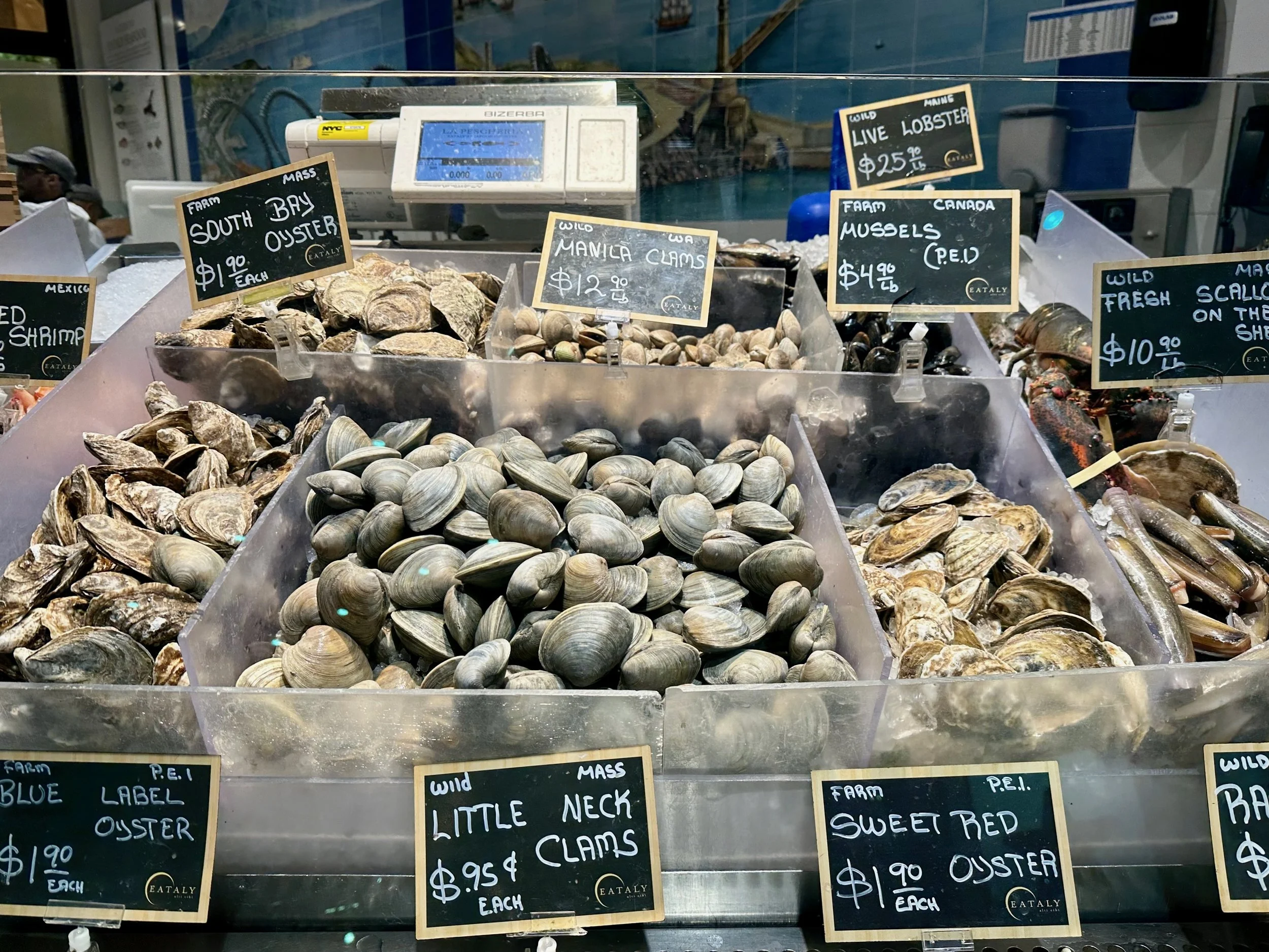 lots o clams.jpeg