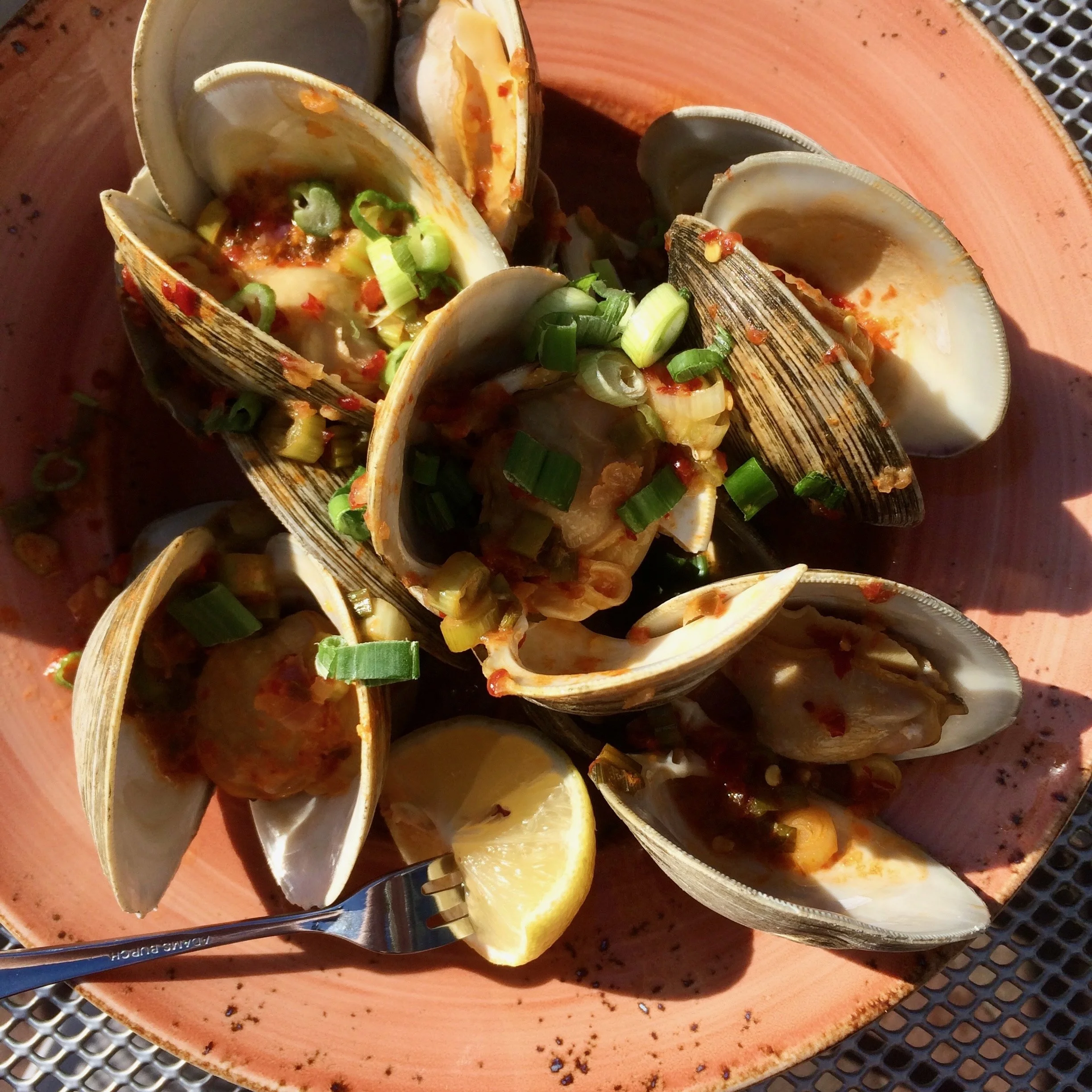 spicey clams.jpeg
