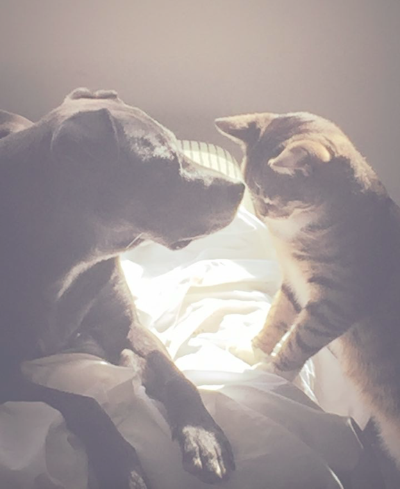 Screen Shot 2017-01-02 at 23.25.32.png