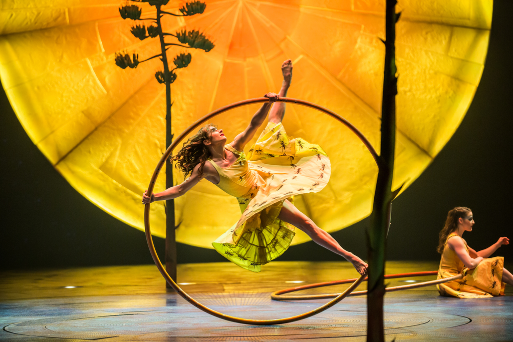 Photo credit : Matt Beard / Costumes: Giovanna Buzzi / 2016 Cirque du Soleil