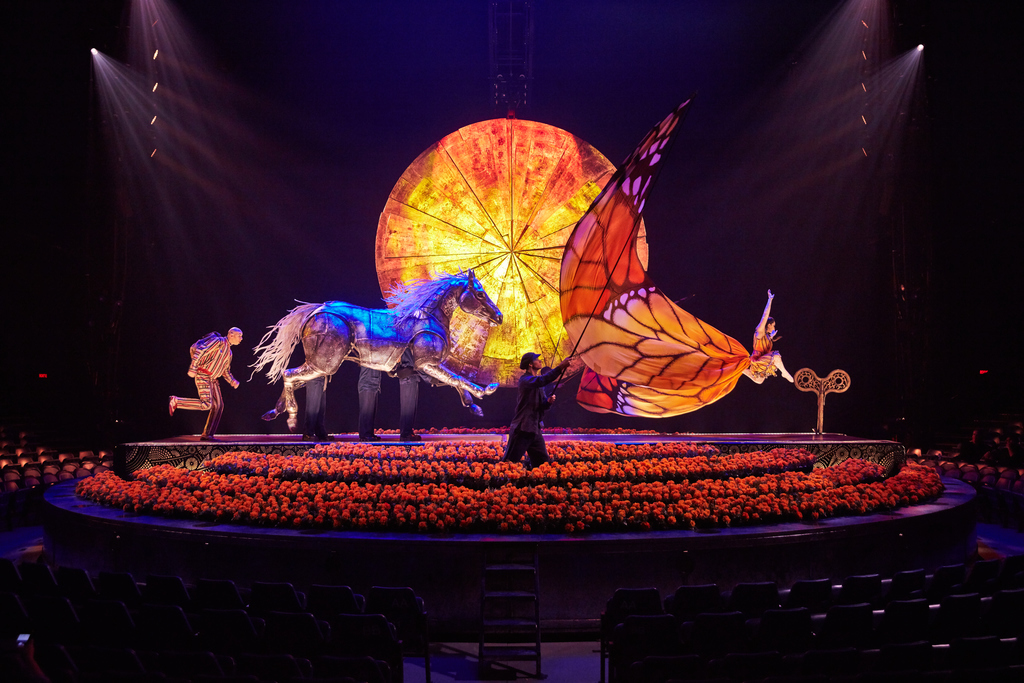 Photo credit : Matt Beard / Costumes: Giovanna Buzzi / 2016 Cirque du Soleil
