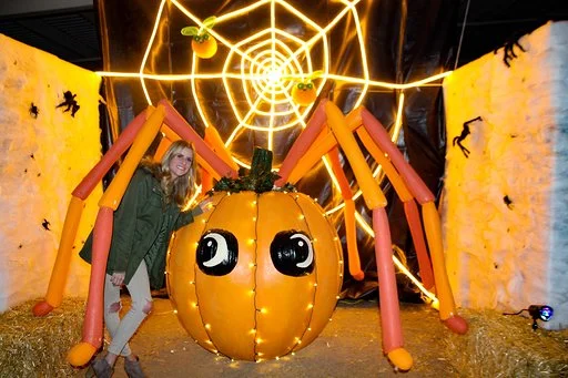 spider7.jpeg