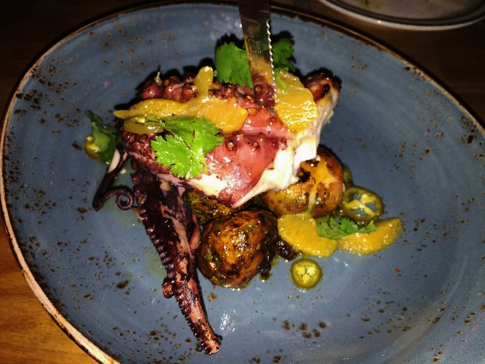 Octopus