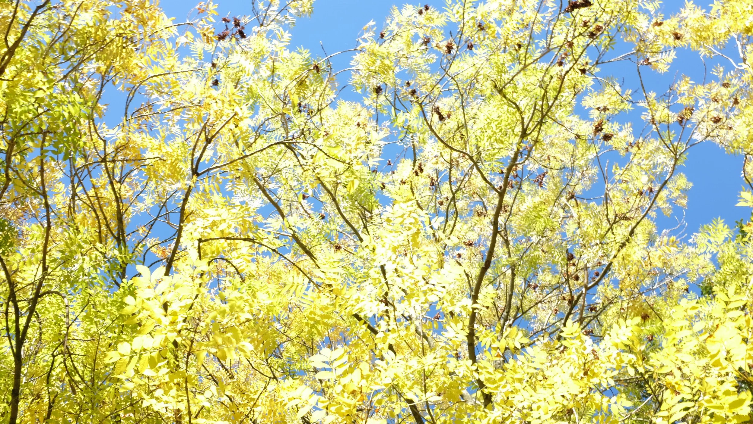 DSCF5947.JPG