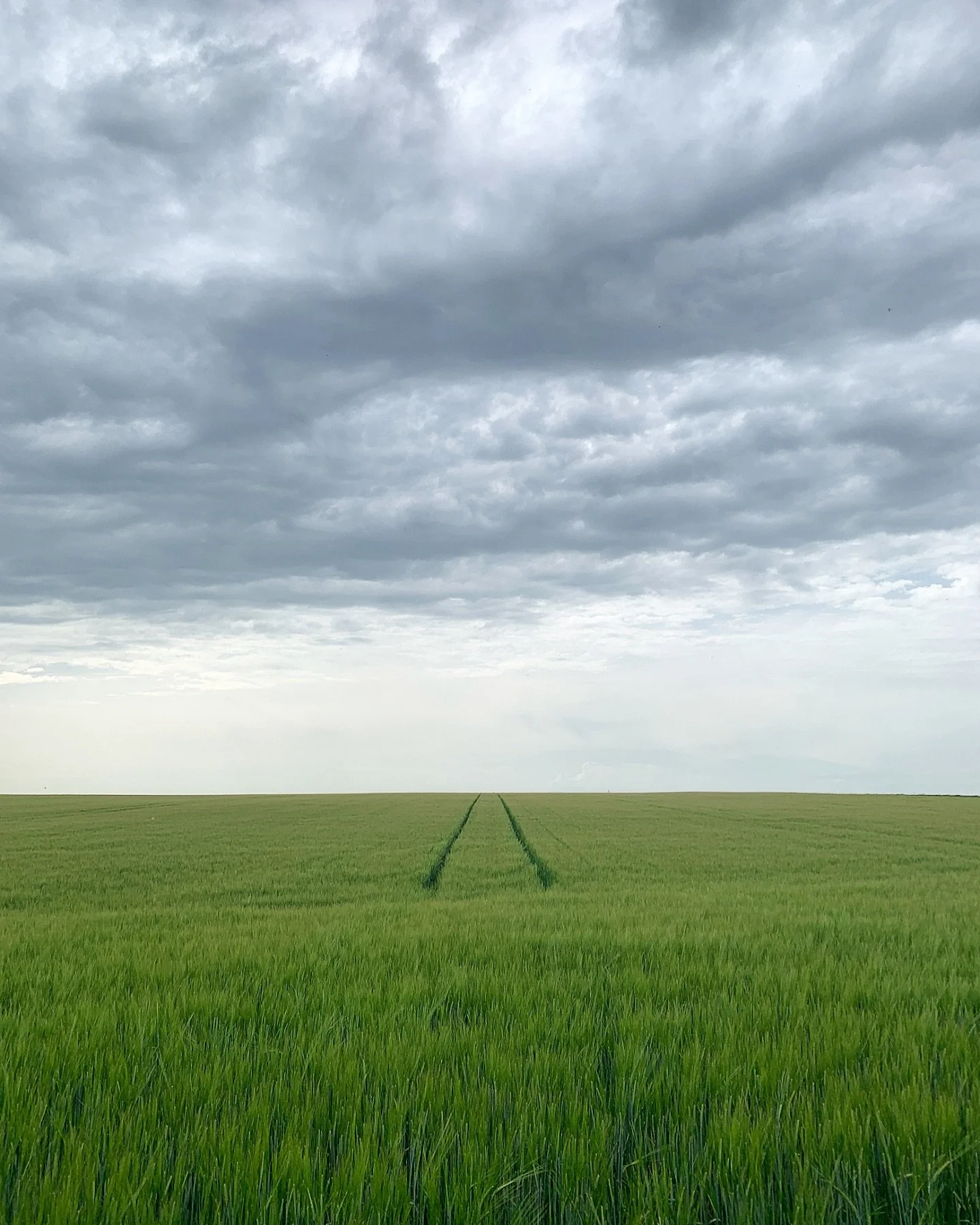 L&rsquo;installation de mon nouvel atelier est en cours apr&egrave;s des mois et des mois loin de mon tour et de mes piles d&rsquo;assiettes.
Je ne m&rsquo;&eacute;tendrai pas ici sur les raisons personnelles qui m&rsquo;ont lentement amen&eacute;es 