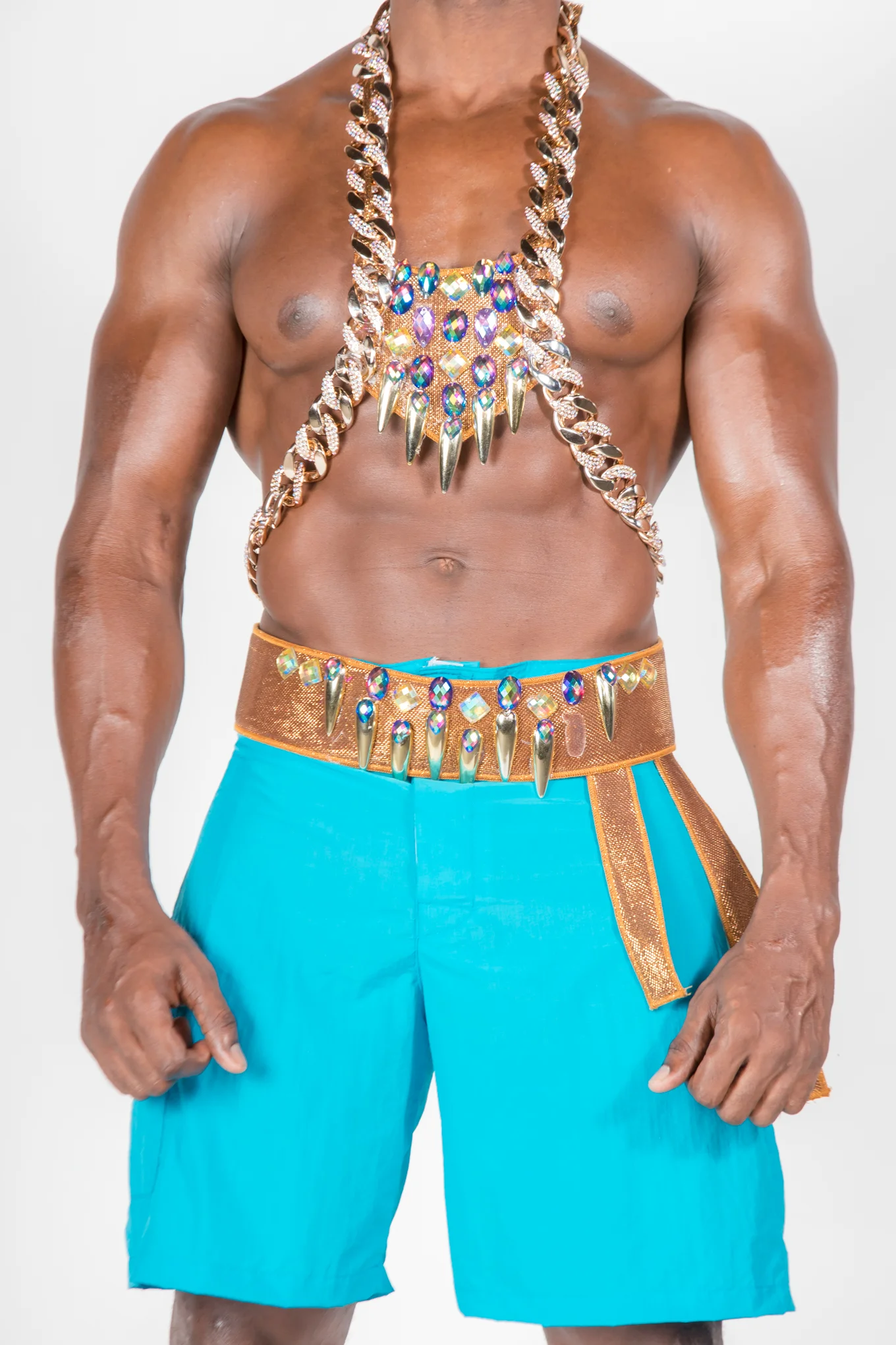 Prima Donna Male Chest and Waist close-up.jpg