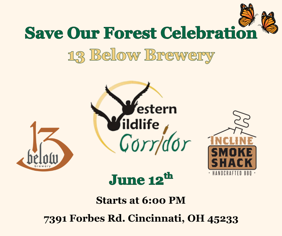 13 Below Brewery (Facebook Post) (4) (1) (2).png