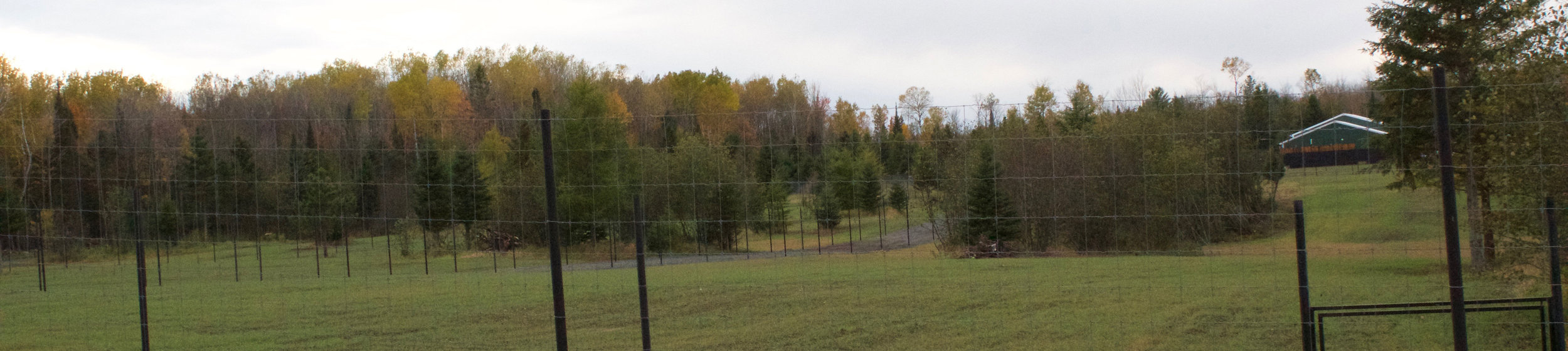 farm-panoramic.jpg