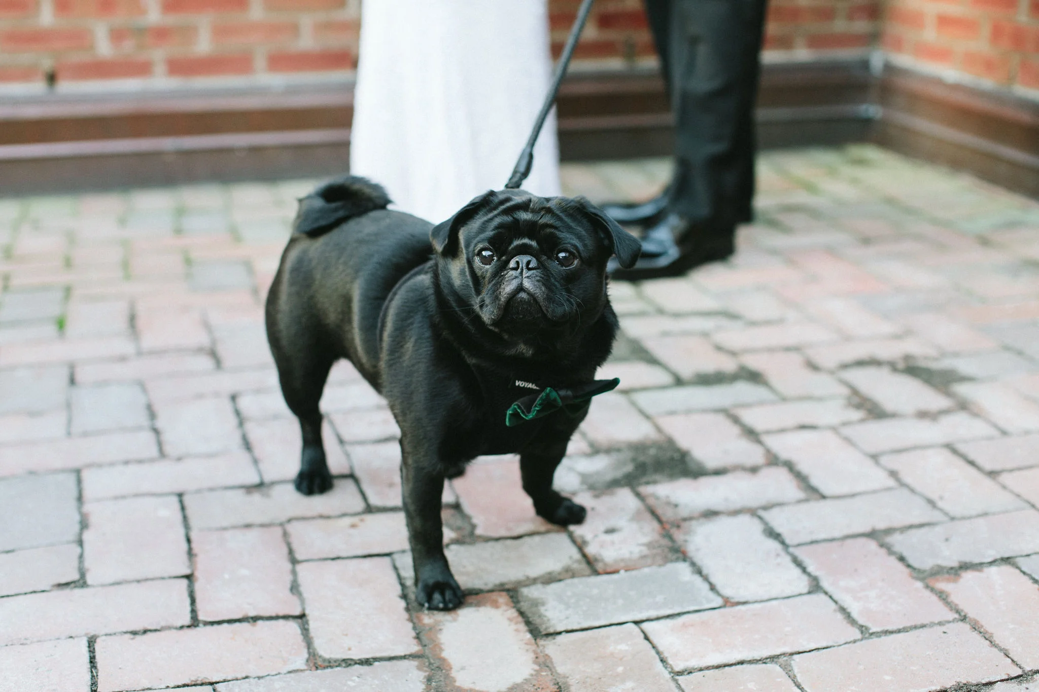 Housing Works Bookstore NYC Wedding Reception