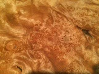 Maple burl 007.JPG