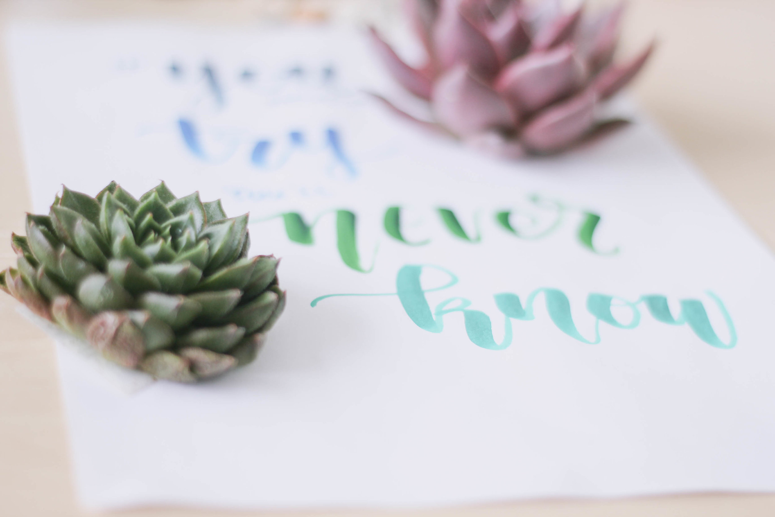 Modern Brush Calligraphy and Hand Lettering Workshop with Octalita 