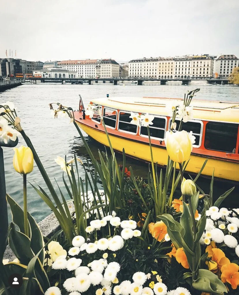 Spring in Geneva