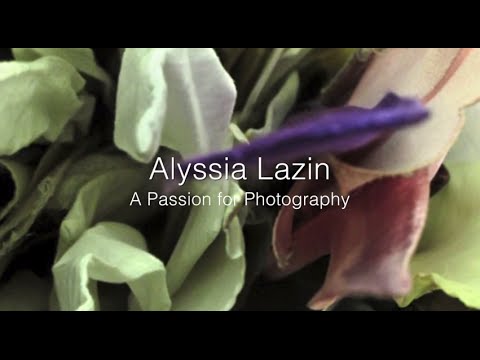 A Passion for Photography