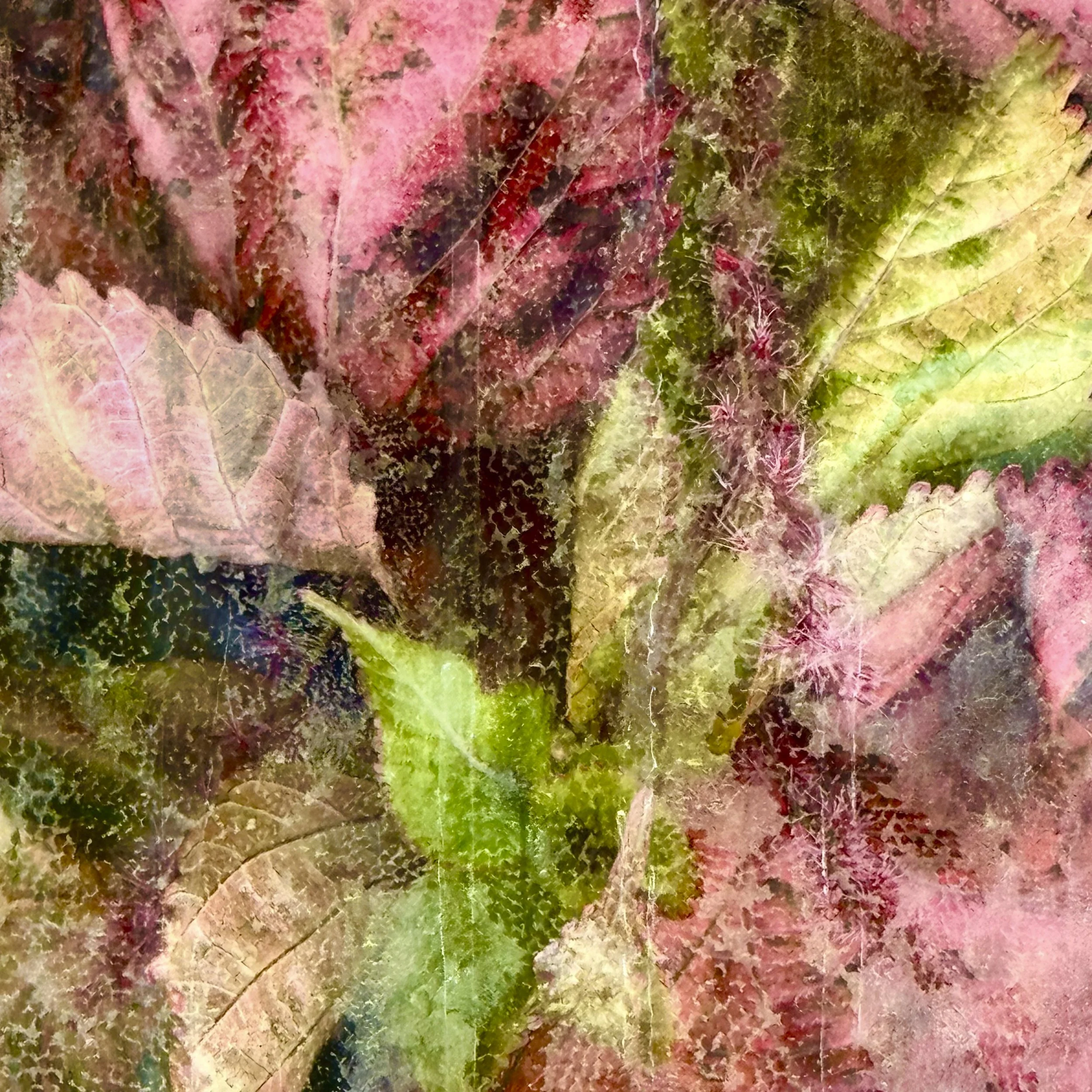 Waiting To Be Discovered