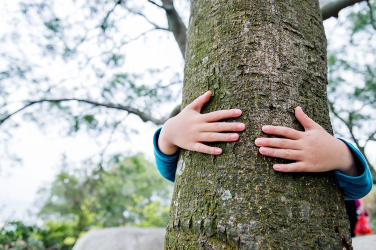 Summer Camp — Groton Country Club