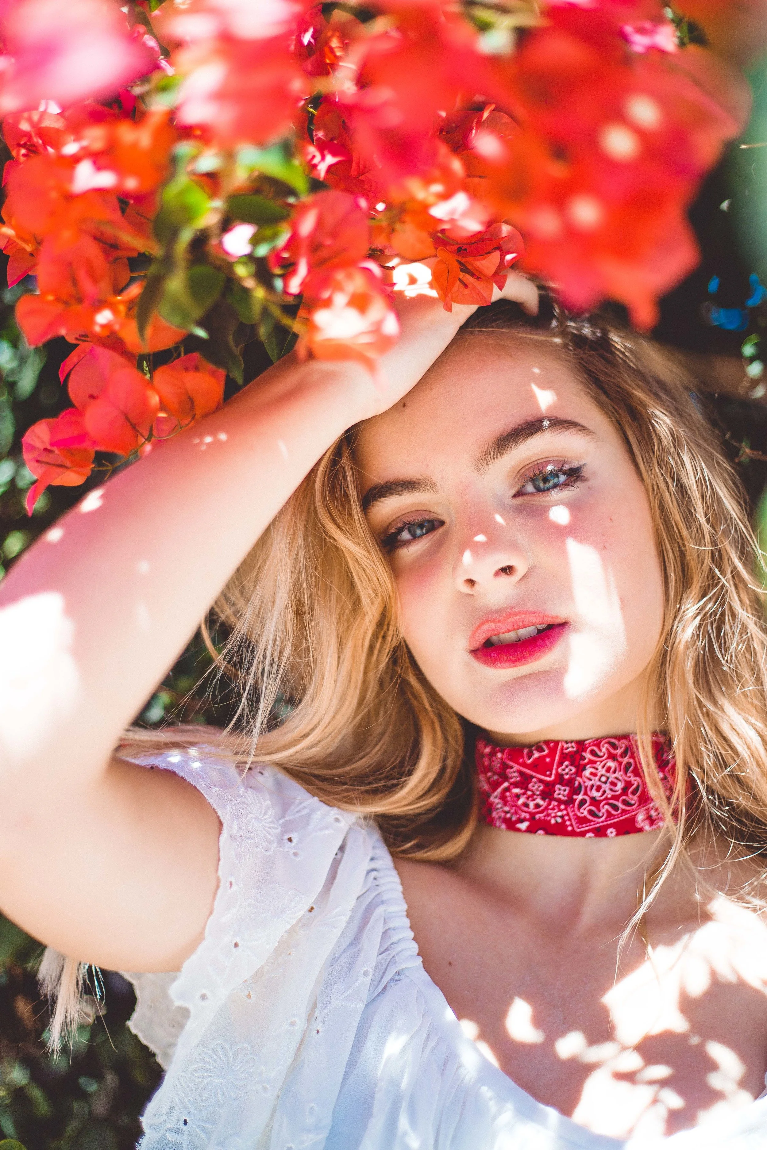 brighton sharbino for local wolves (Copy) (Copy)