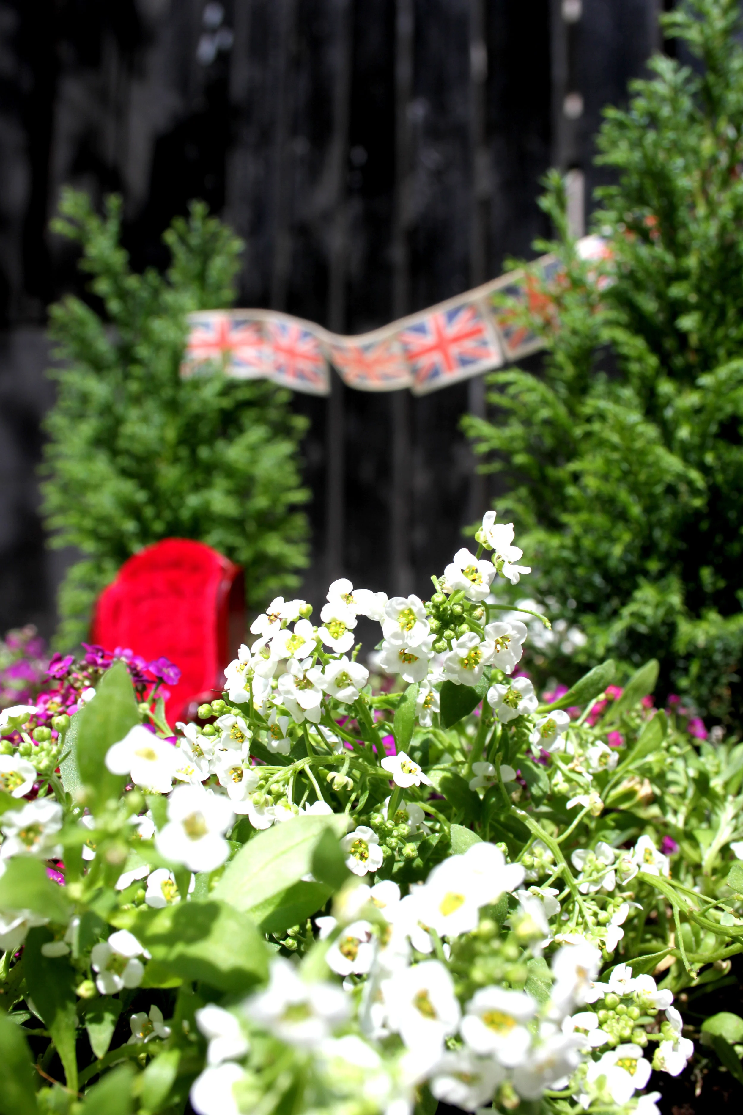 A pothole garden fit for a queen (or duchess...) — The Pothole Gardener