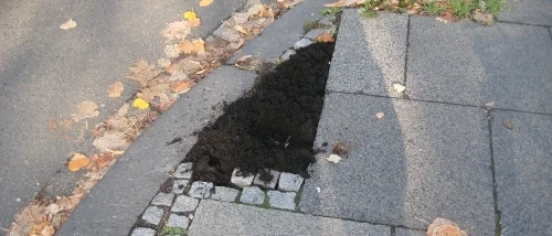 From Germany to the Netherlands...