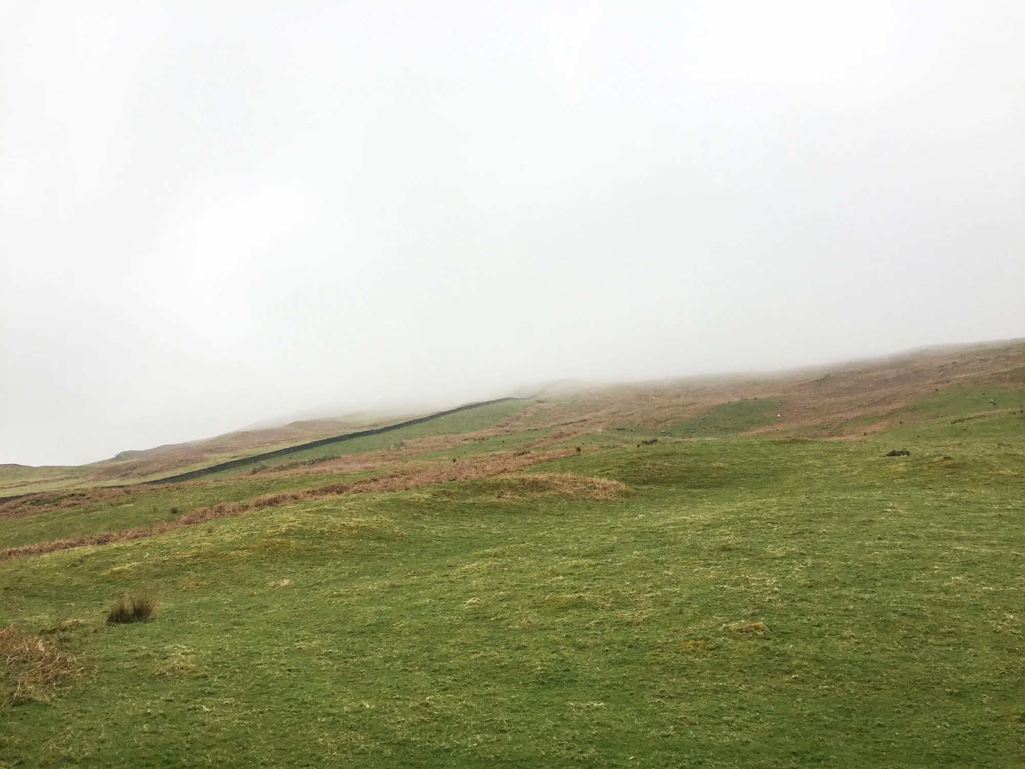 Damp and wet start of the trip