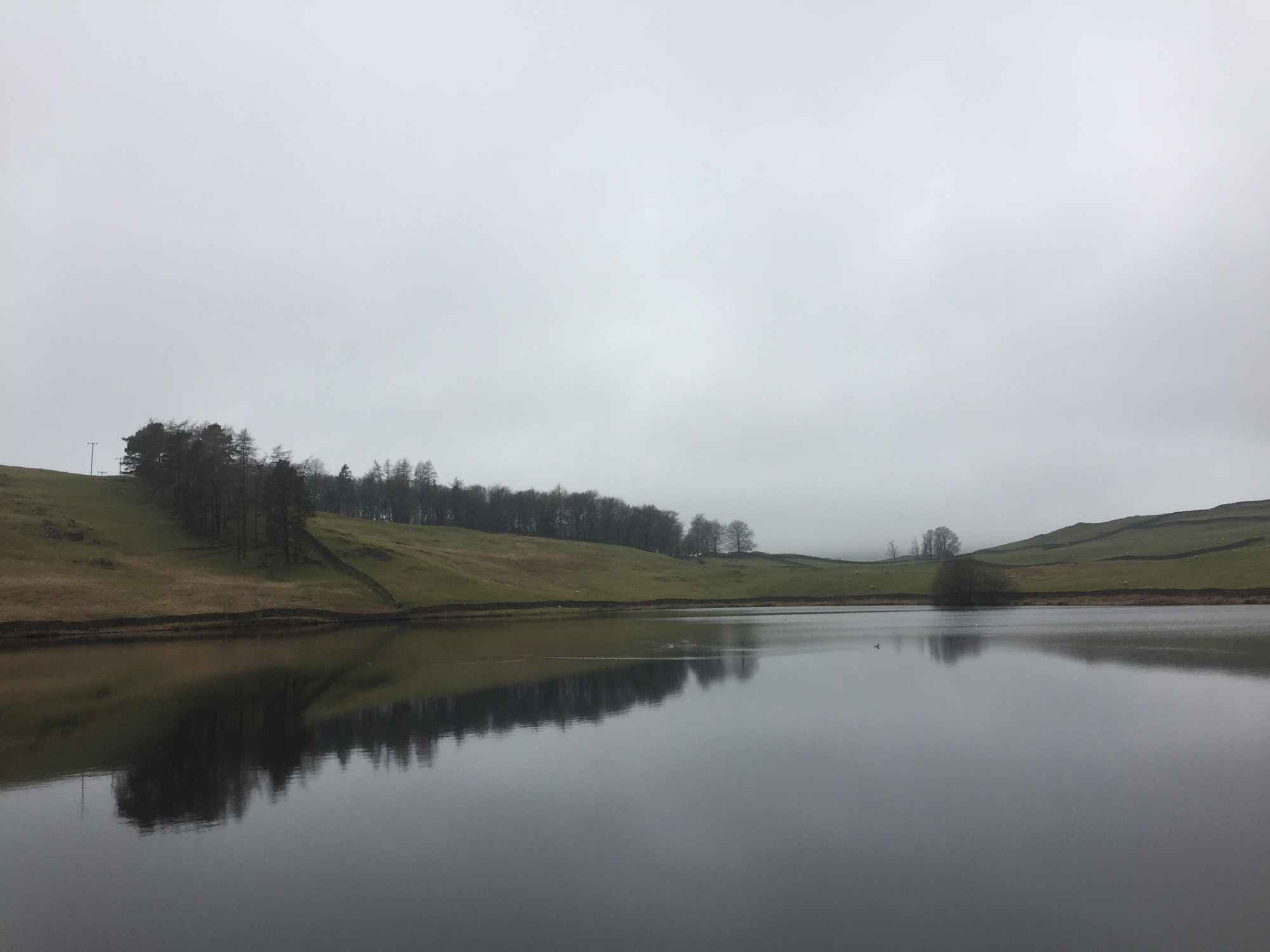Dubbs Reservoir