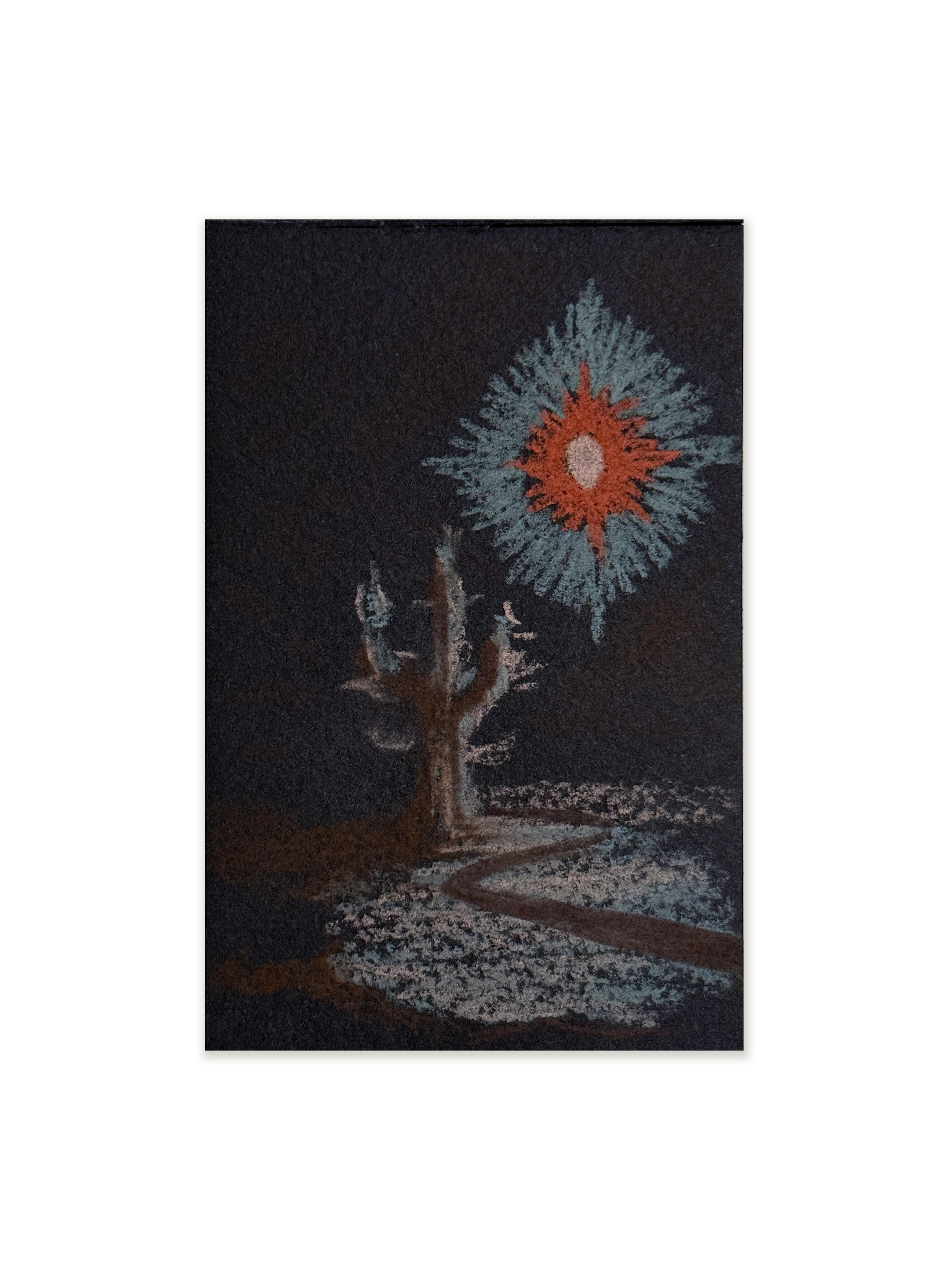 The-Language-of-the-plants-2 3.PNG