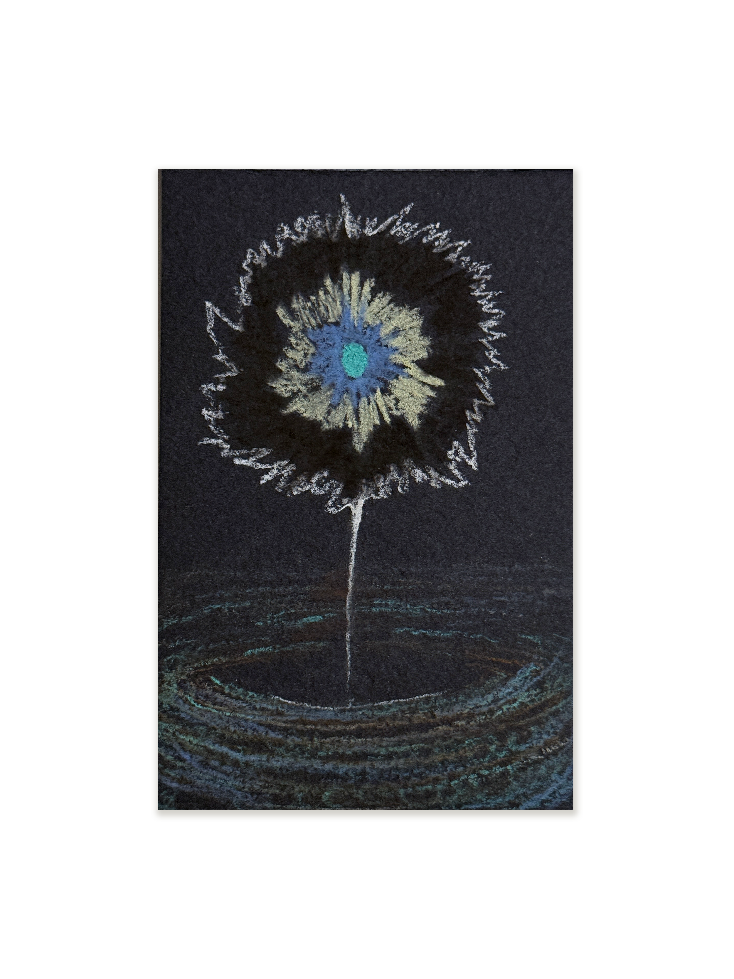 The-Language-of-the-plants-4 3.PNG