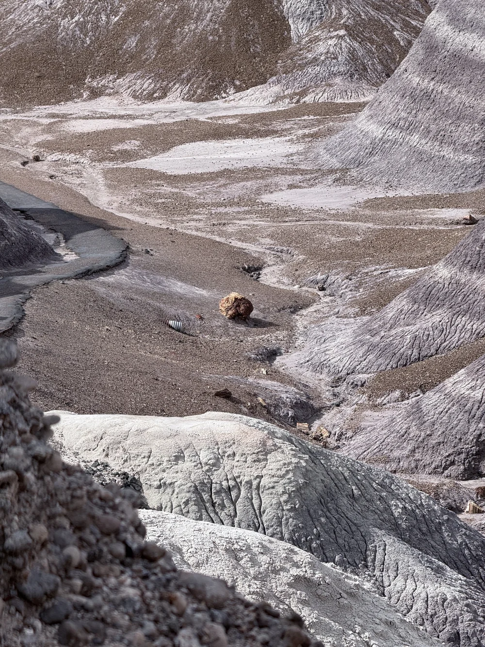  The Petrified Forest National Park, February 17, 2025 