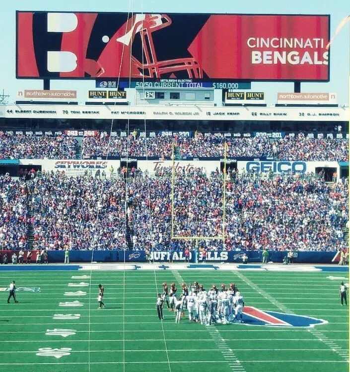 Bengals.jpg