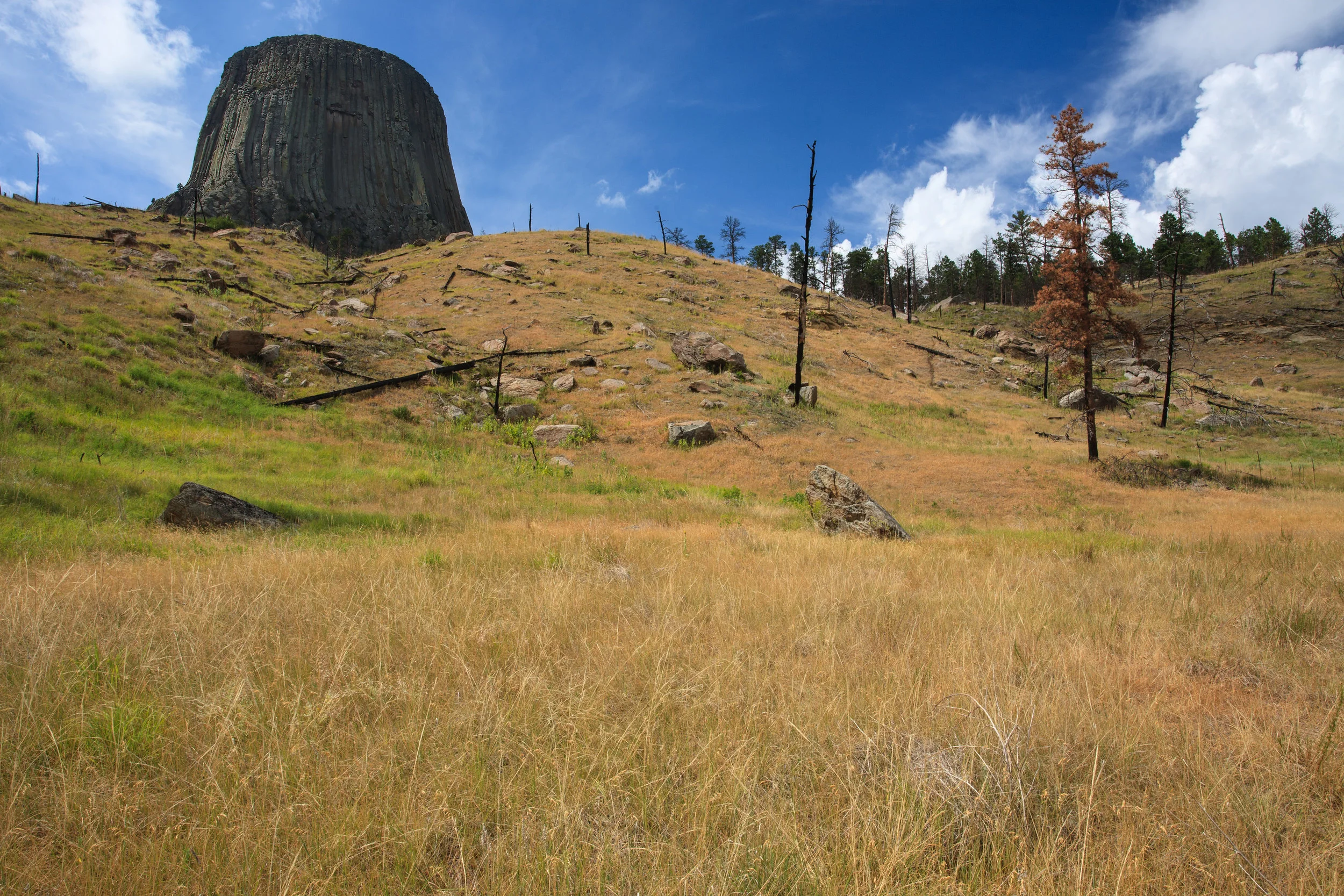 IMG_3607-2-Edit.jpg