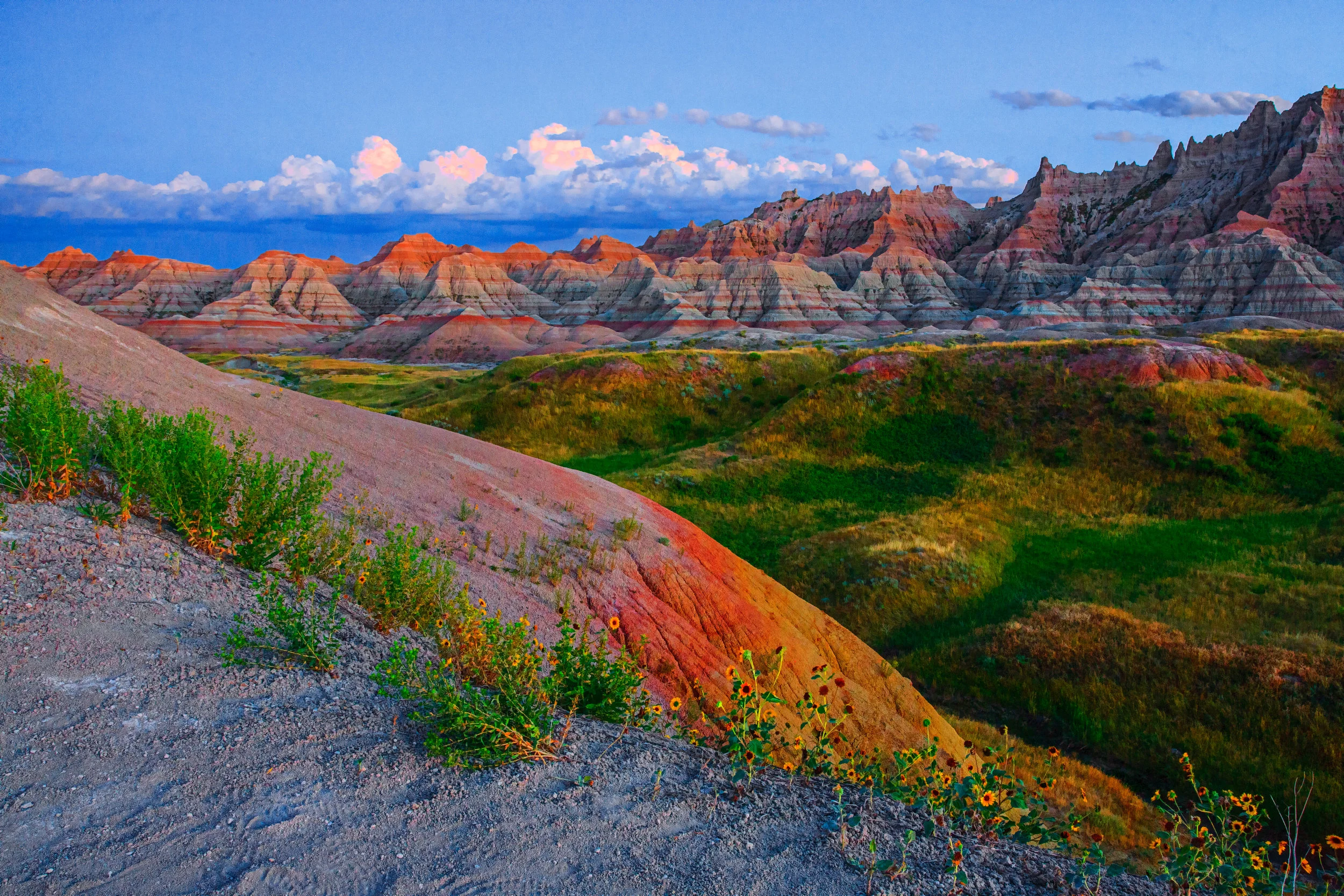 IMG_6561-Edit-2-Edit.jpg