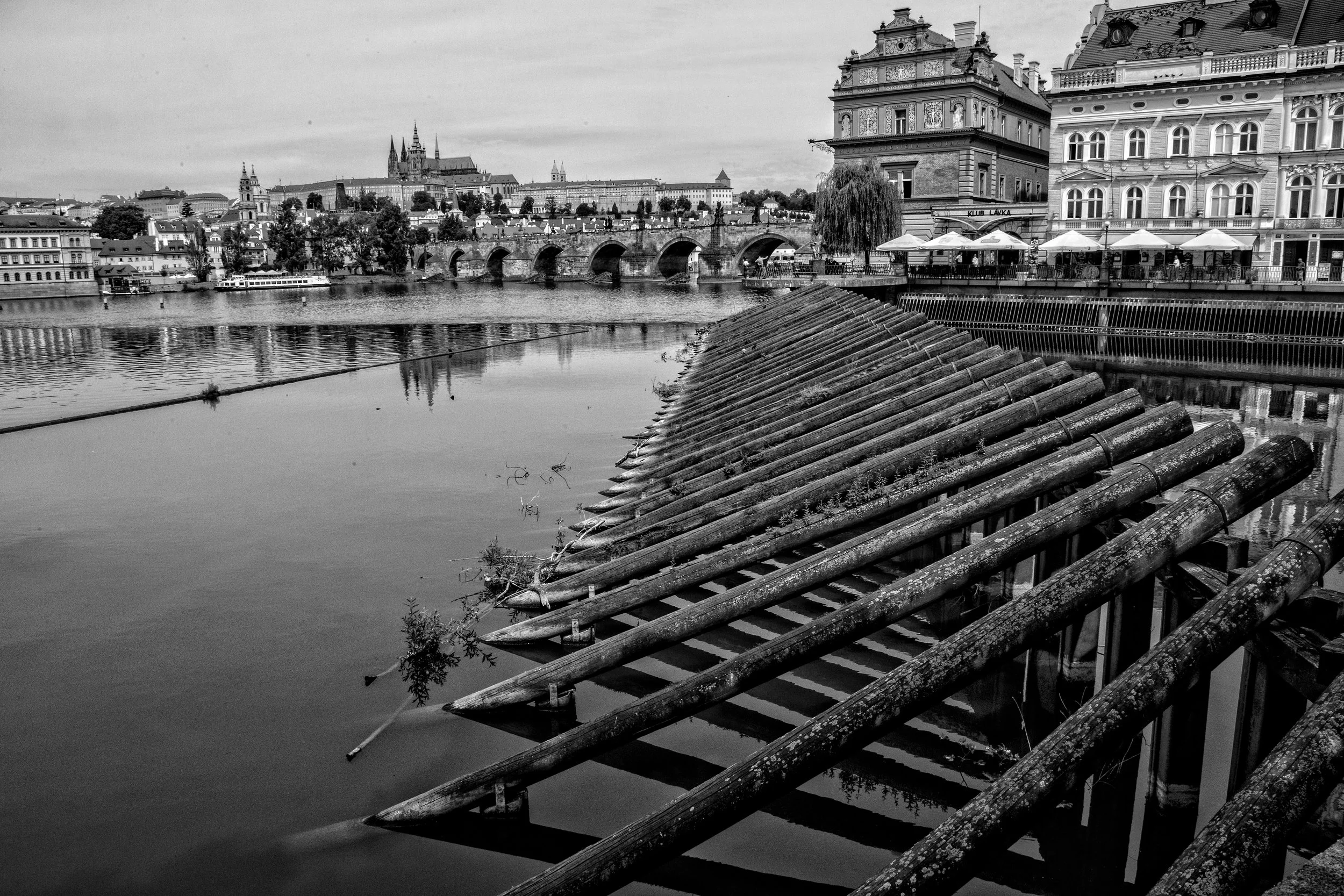 IMG_9484-Edit-2-Edit.jpg